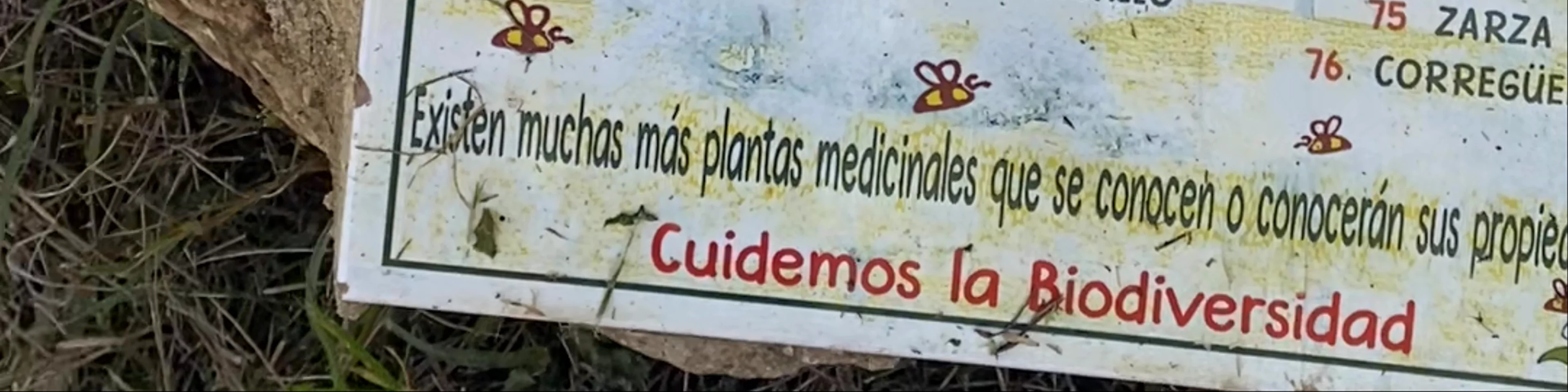 Museo de la Miel y las Abejas Rancho Cortesano