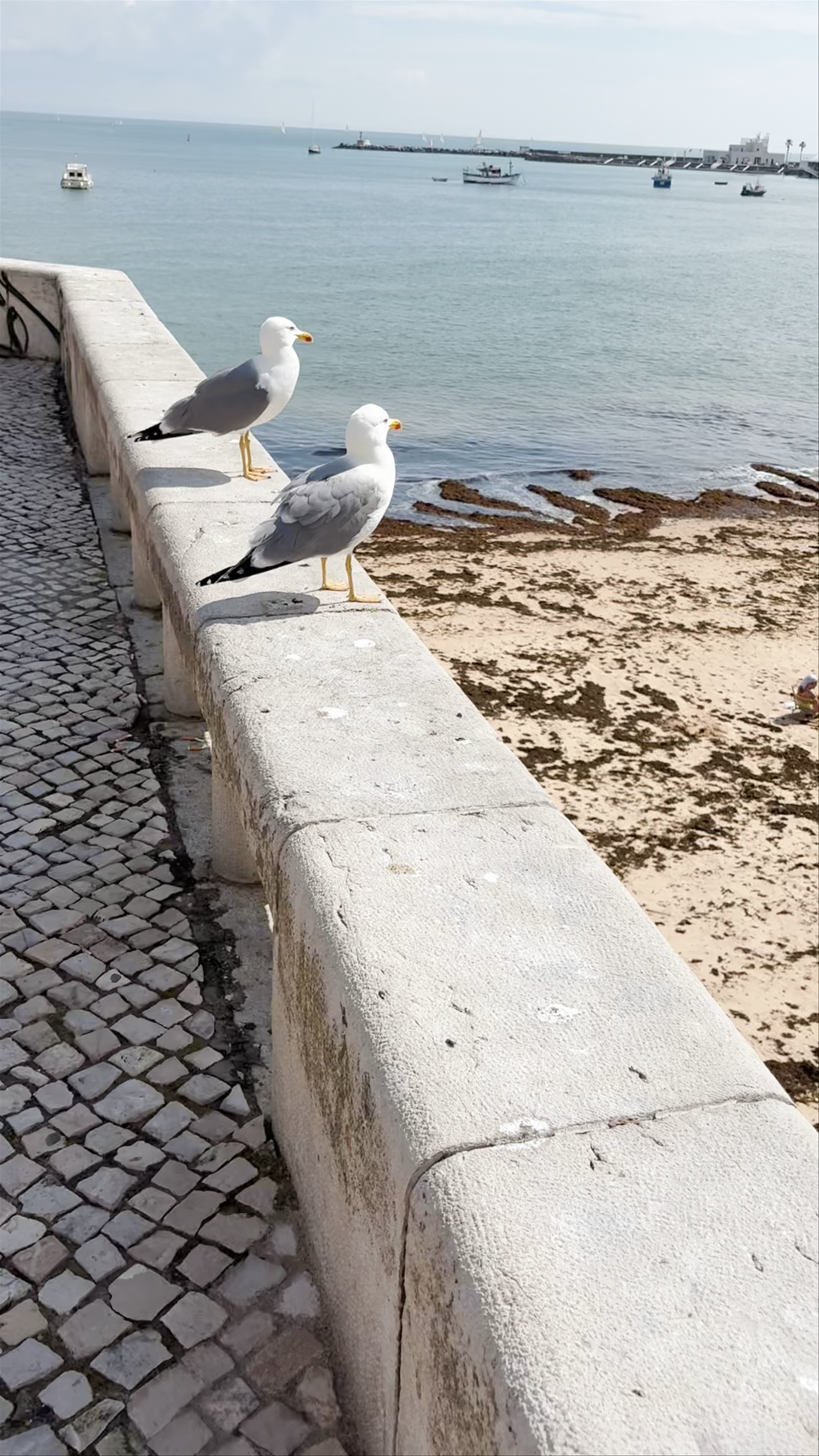Praia da rainha