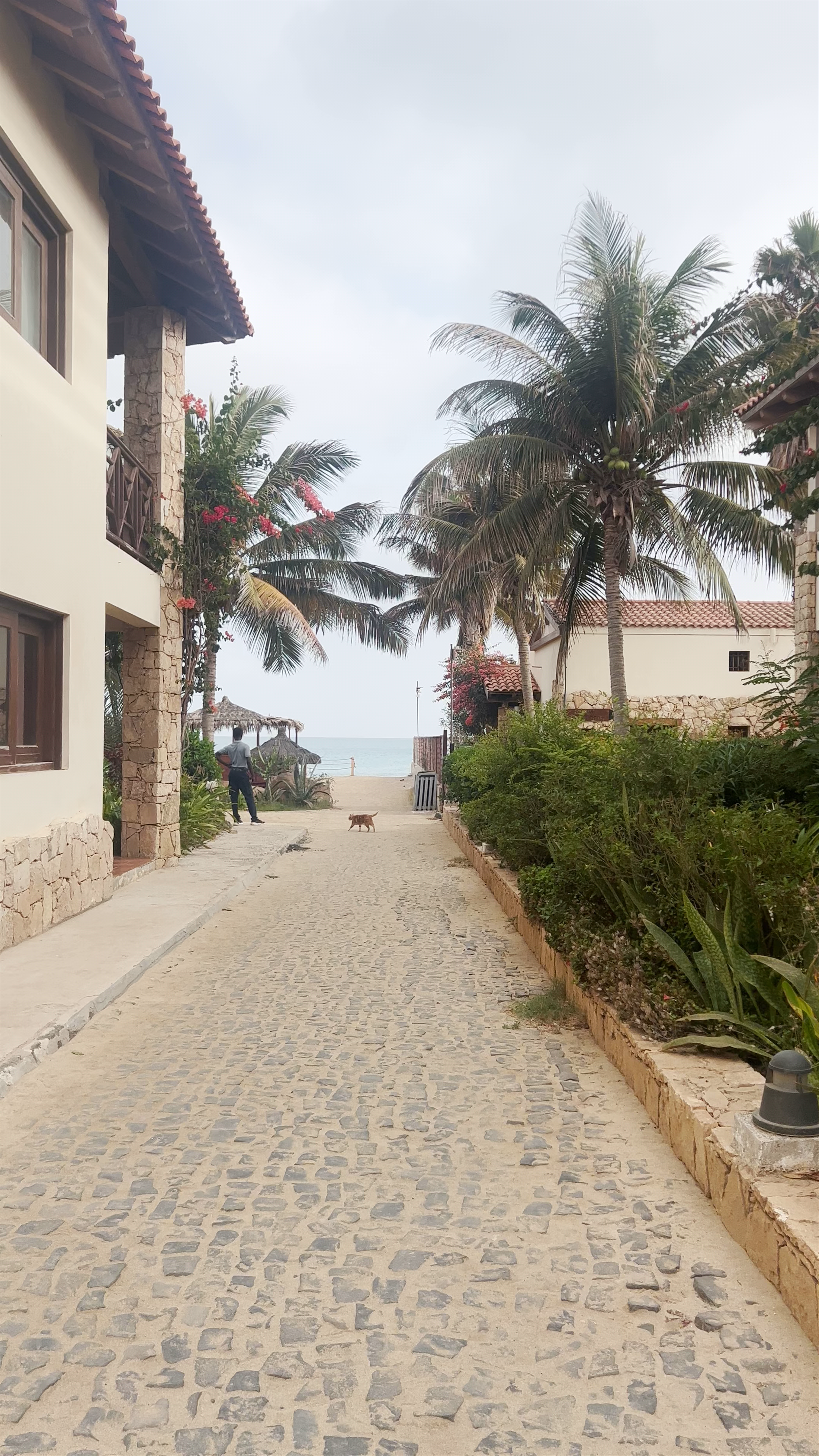 Porto Antigo Residence