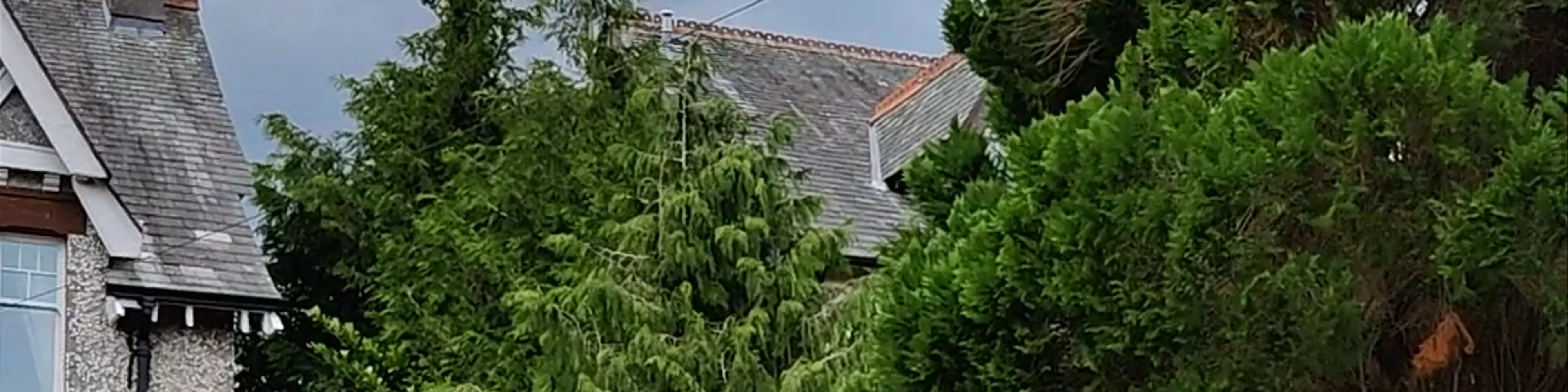 Lakeside Country Guest House (Bassenthwaite)