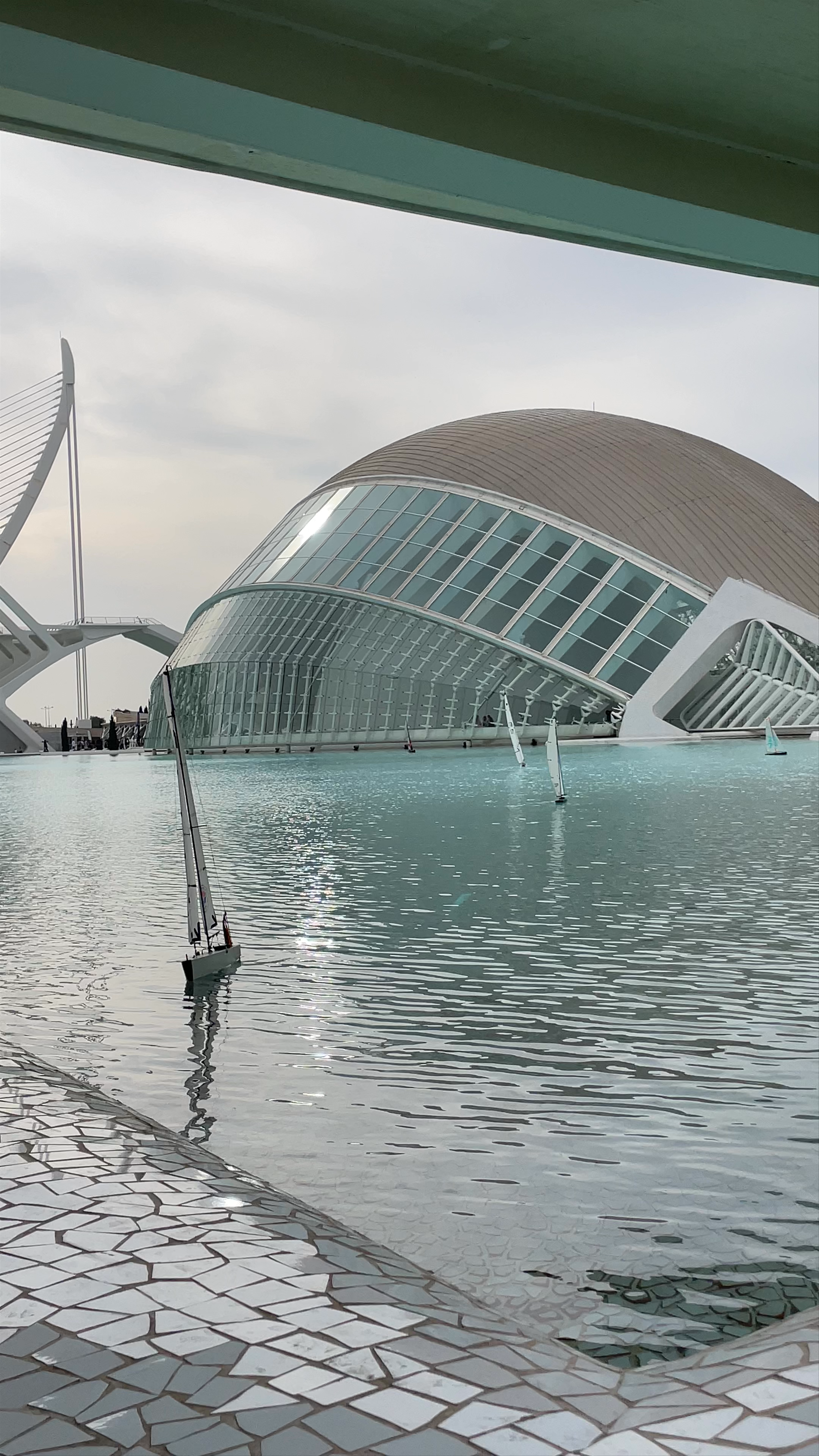 Futuristic Serenity at Ciudad de las Artes y las Ciencias in Valencia