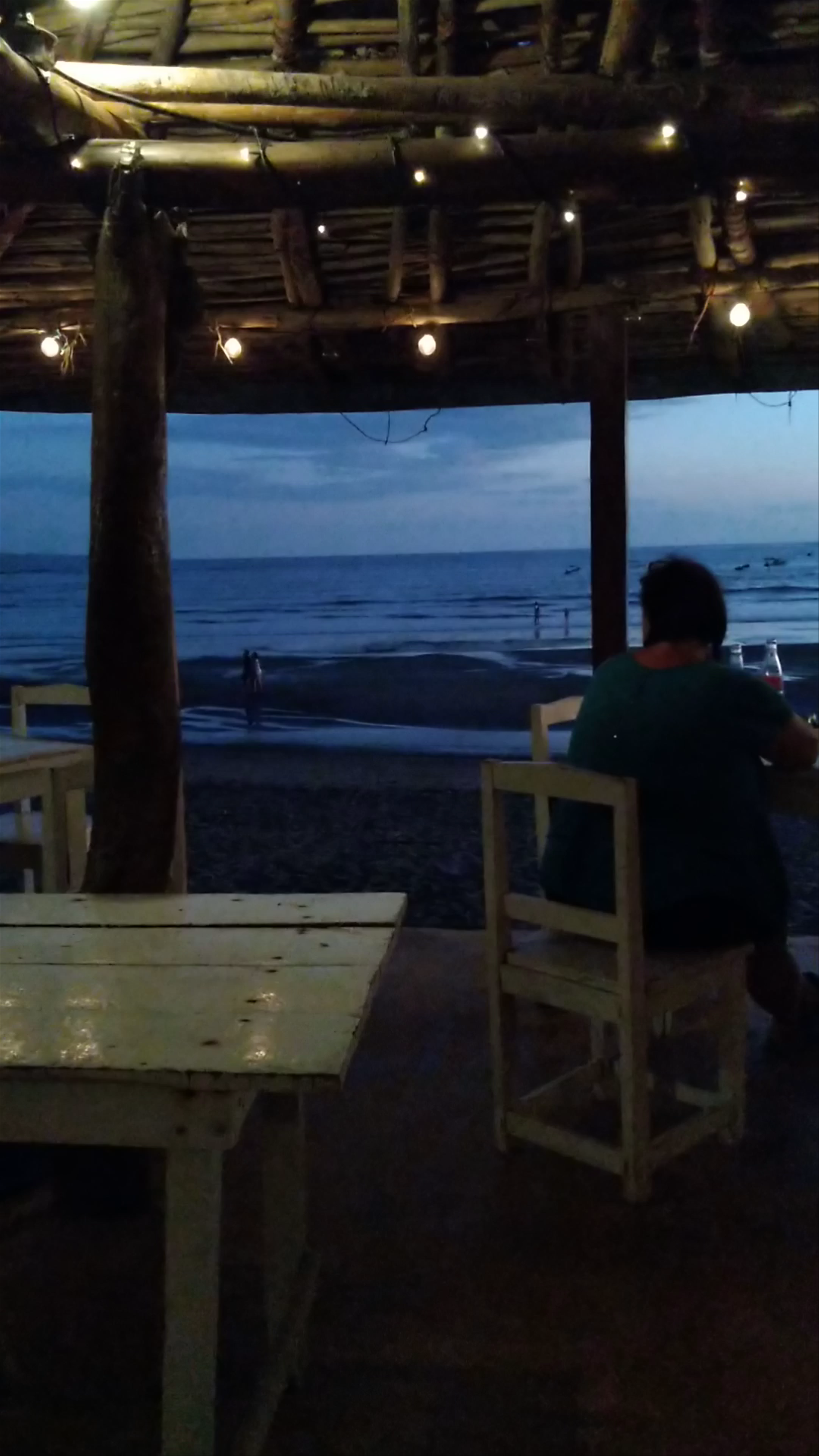 Restaurante Pinguinos