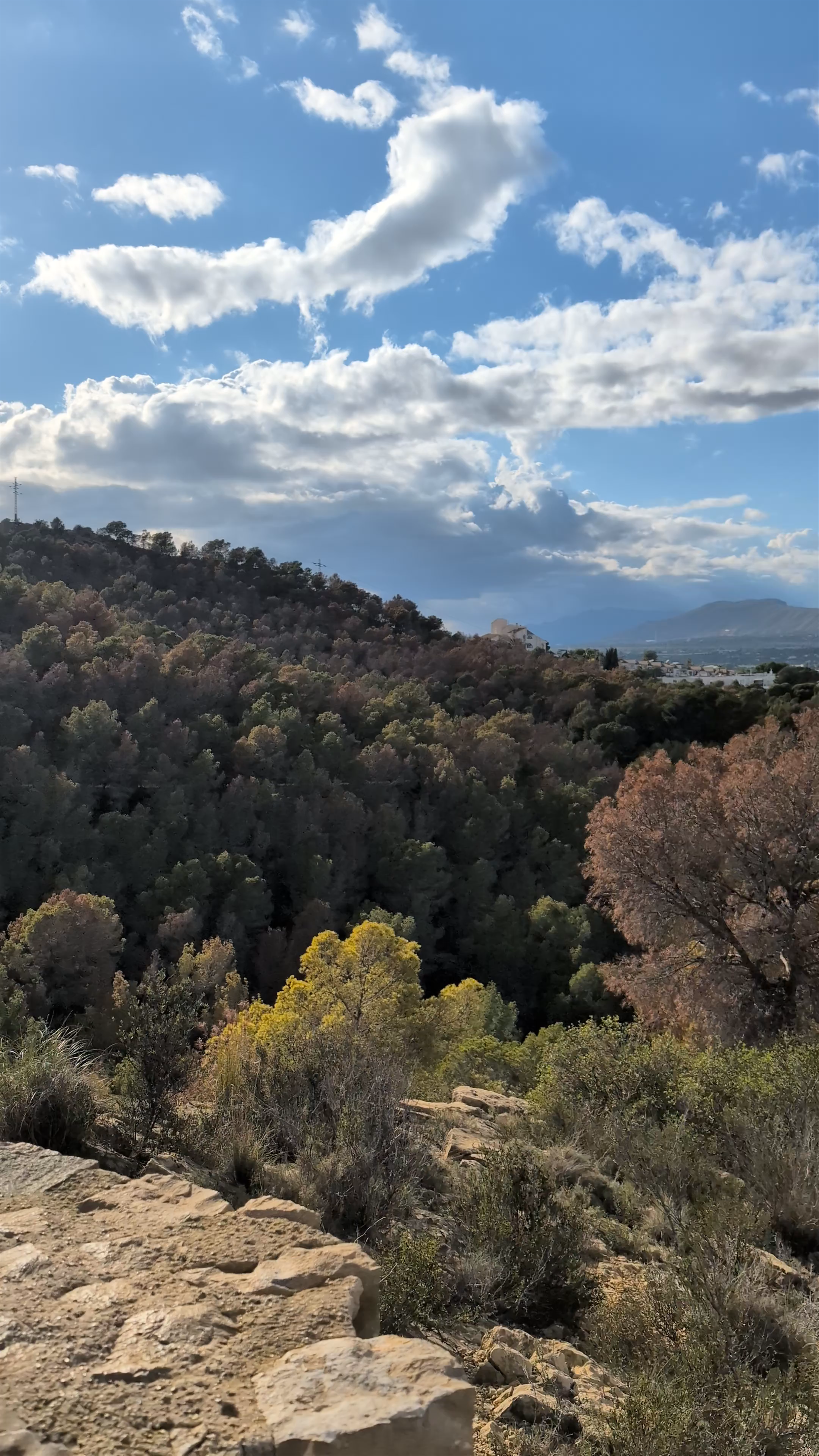 Camino del Faro