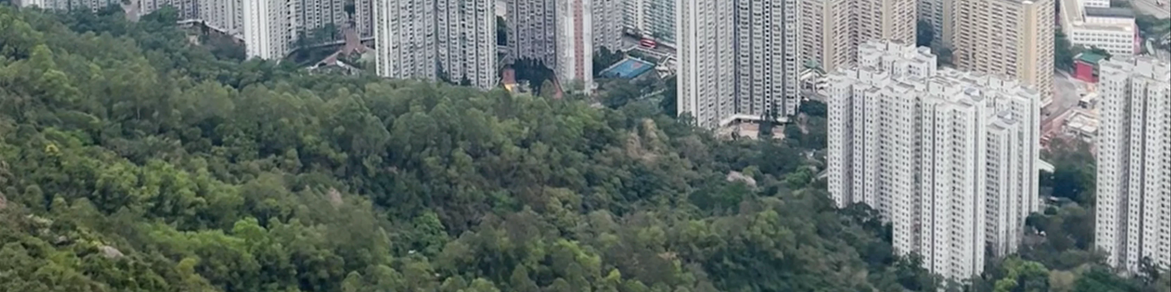 Lion Rock Head