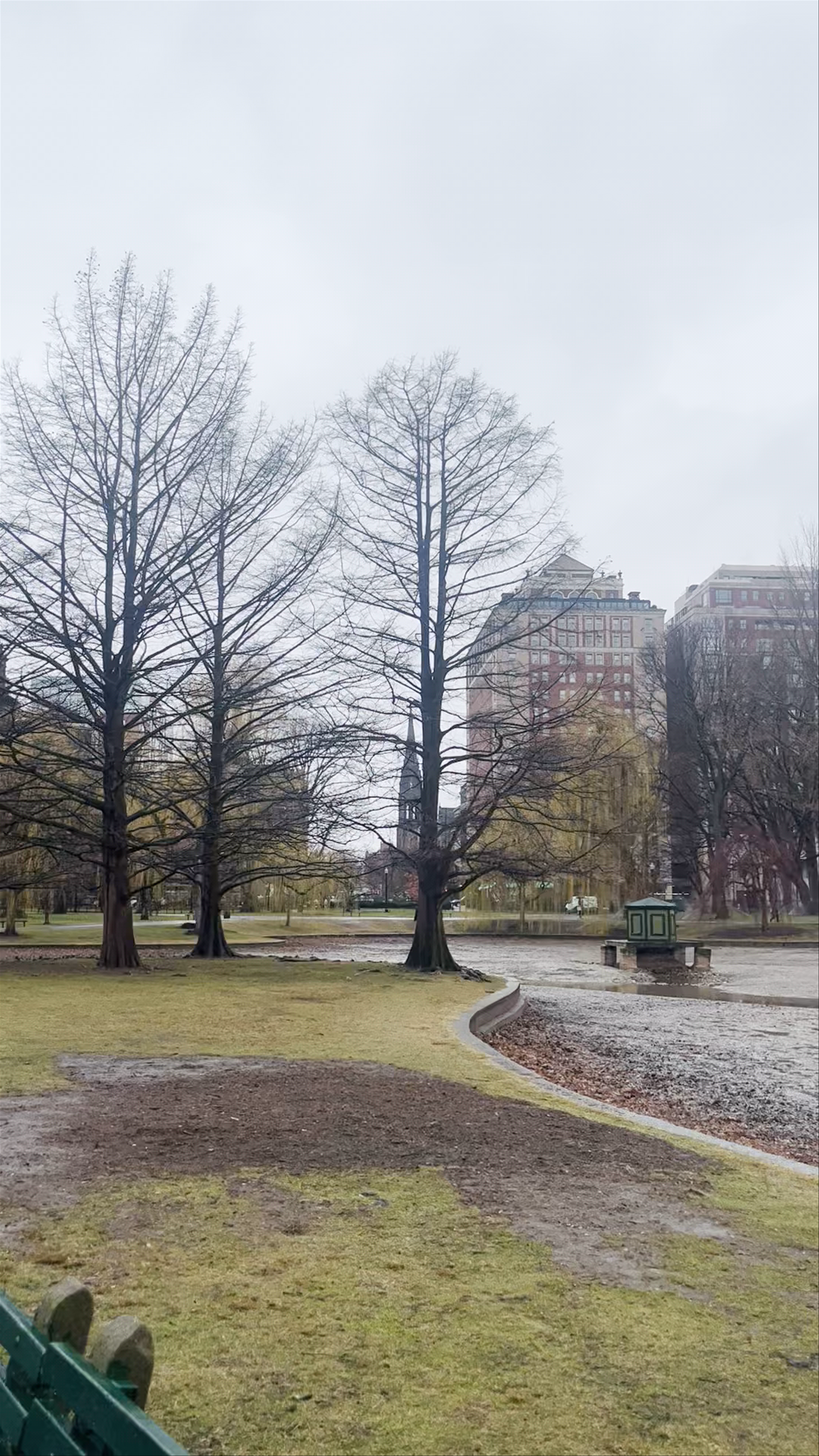A Peaceful Walk Through Boston Public Garden in Early Spring