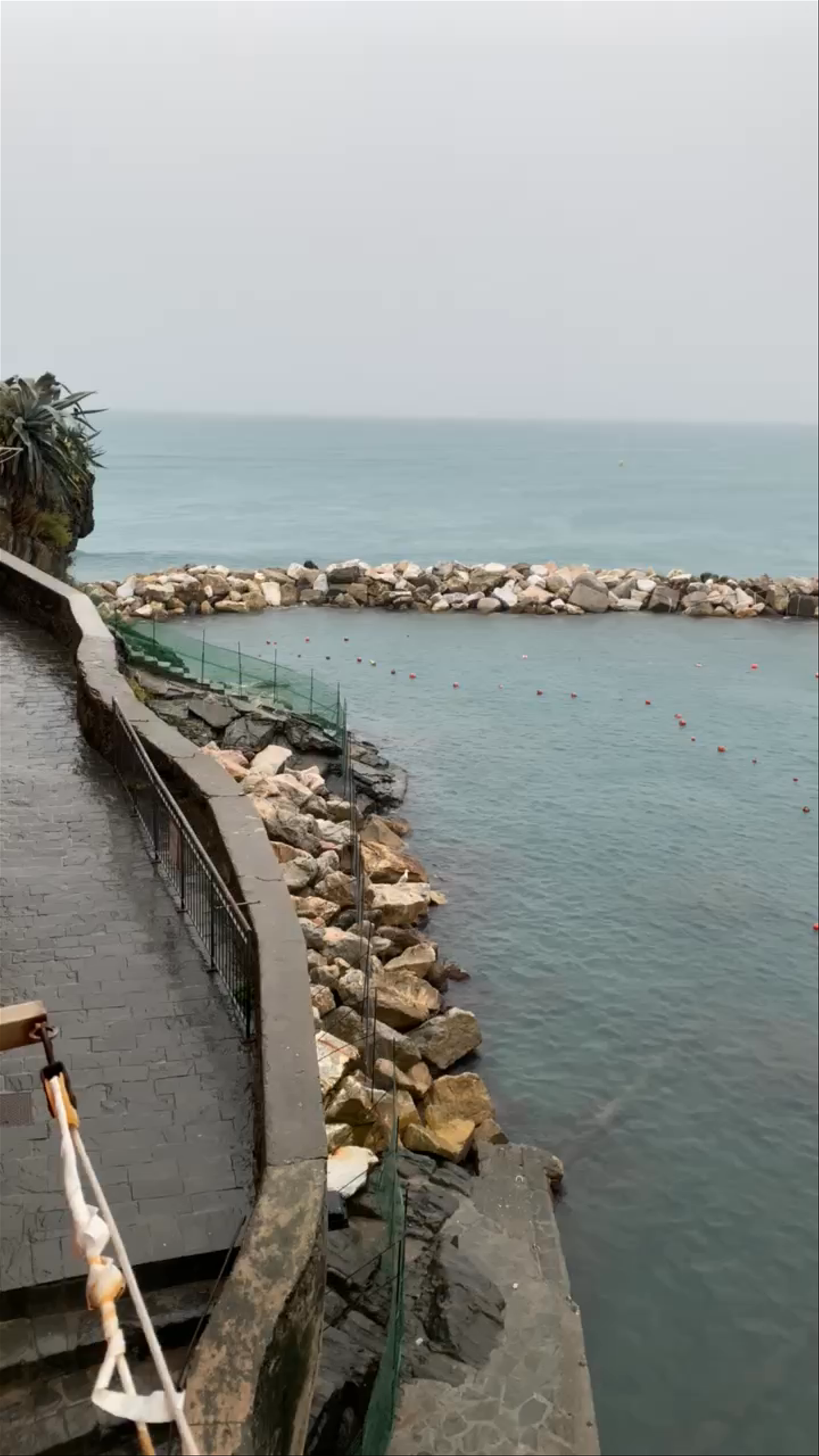 Ferry Dock Riomaggiore