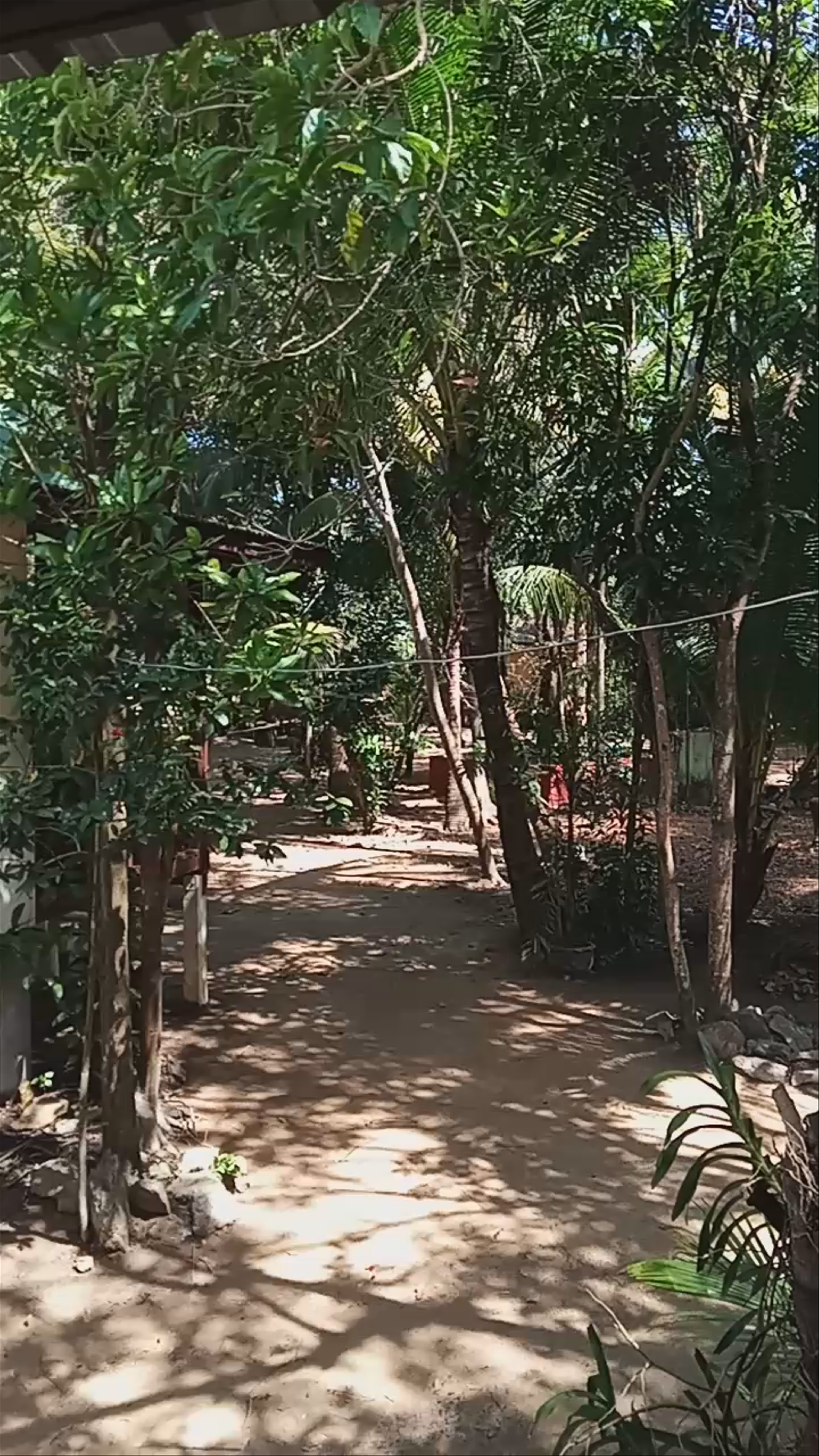 Moonhut Maenam