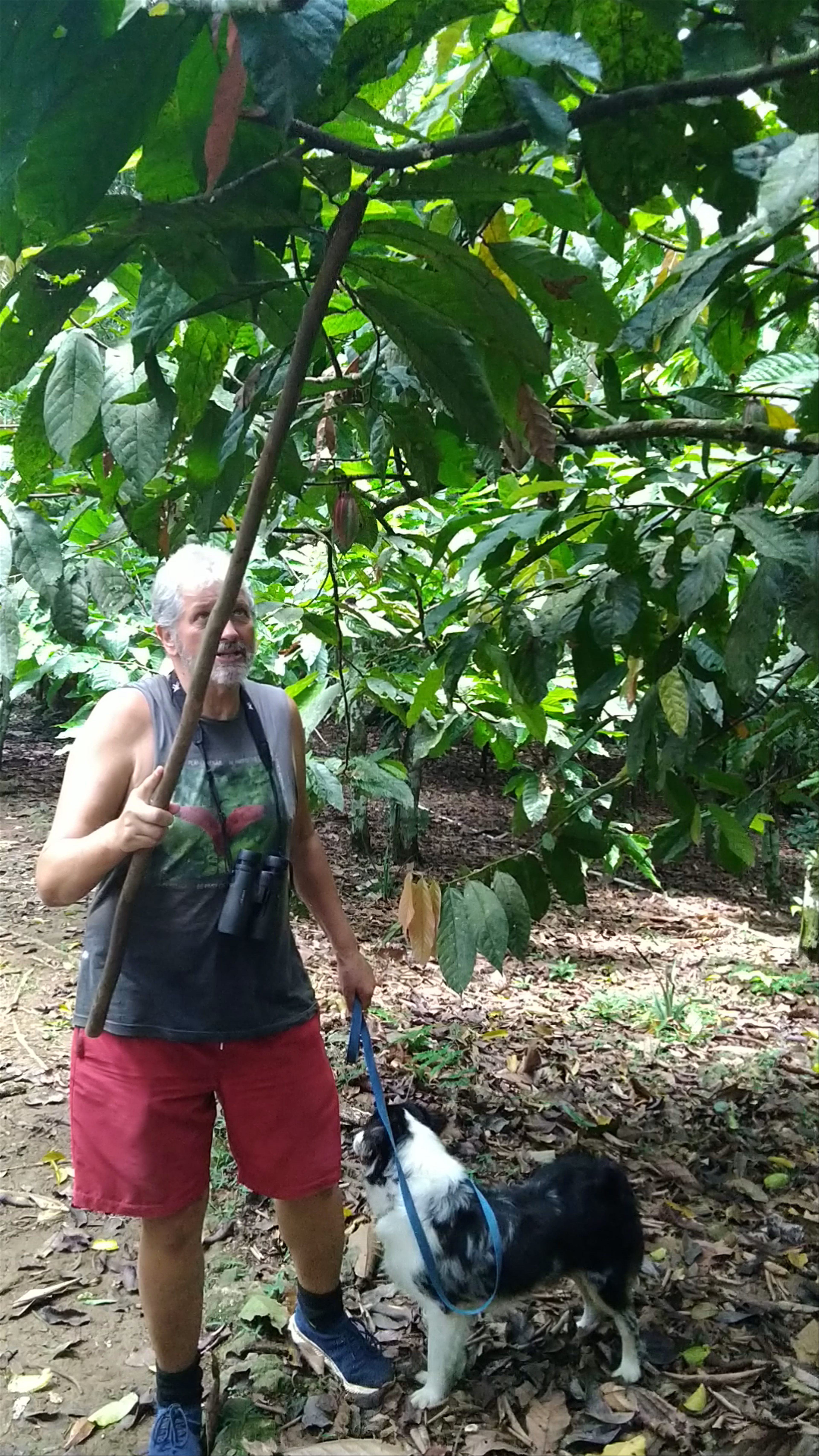 Green Acres Chocolate Farm