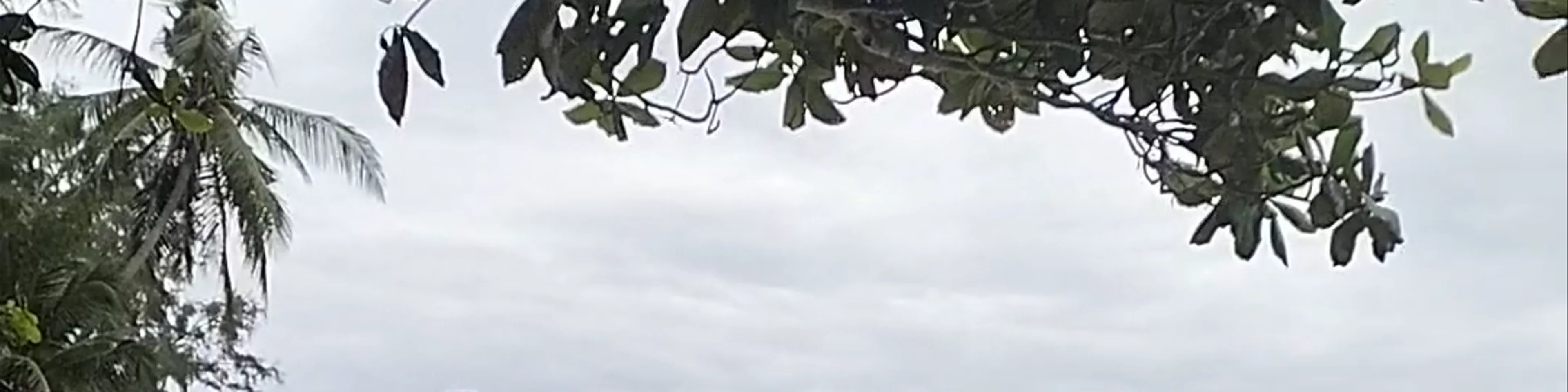 Samma Karuna