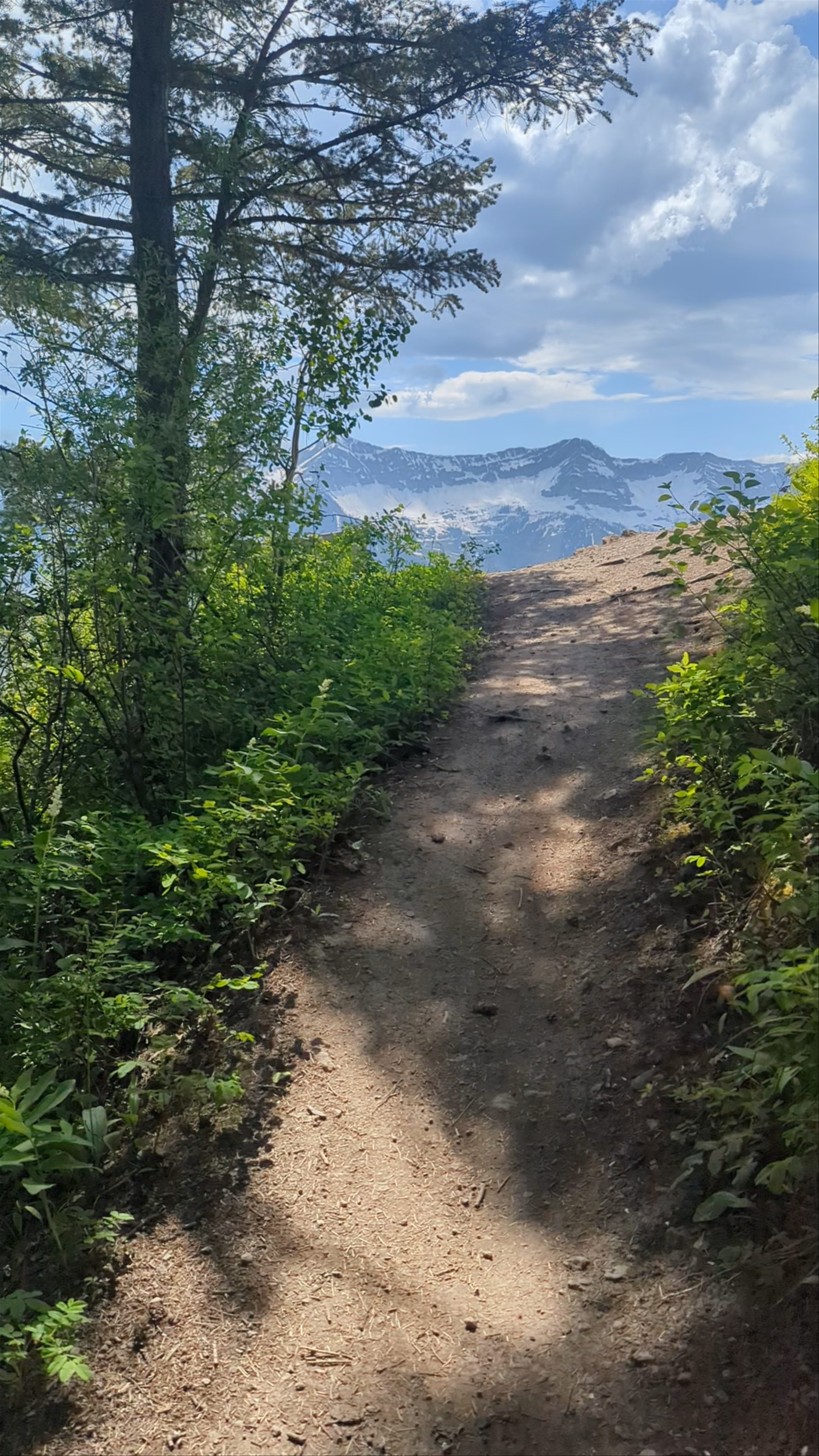 Montane Trailhead