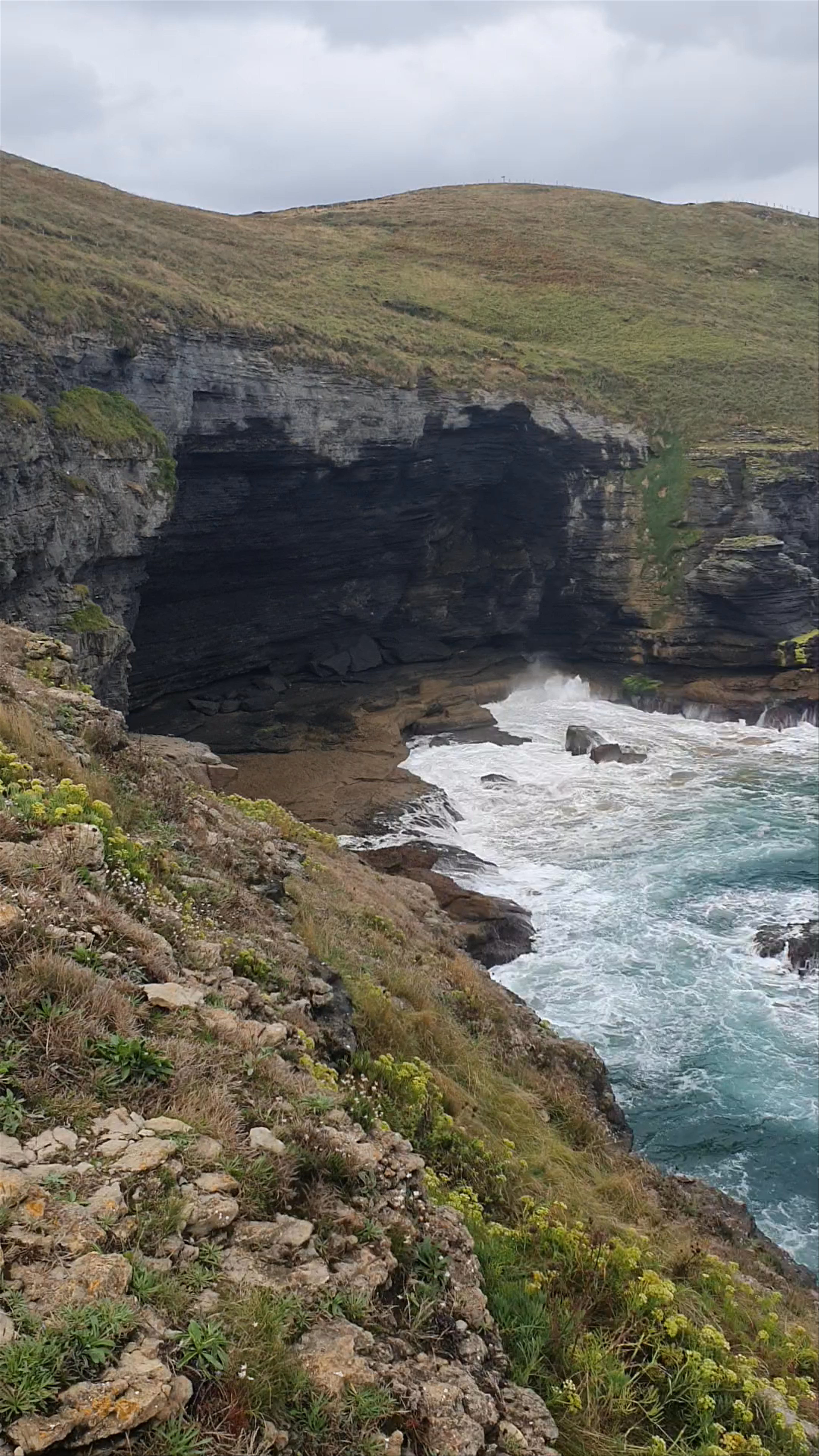 Observatorio de aves de La Arenilla