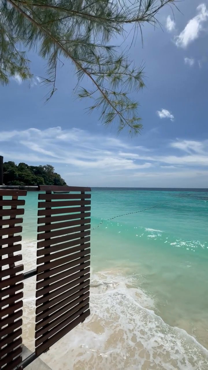 book the flight
📍 Phuket Thailand
🎥 Nihal Backer K K · Pexels
#travel #beach #island #paradise #wanderlust
