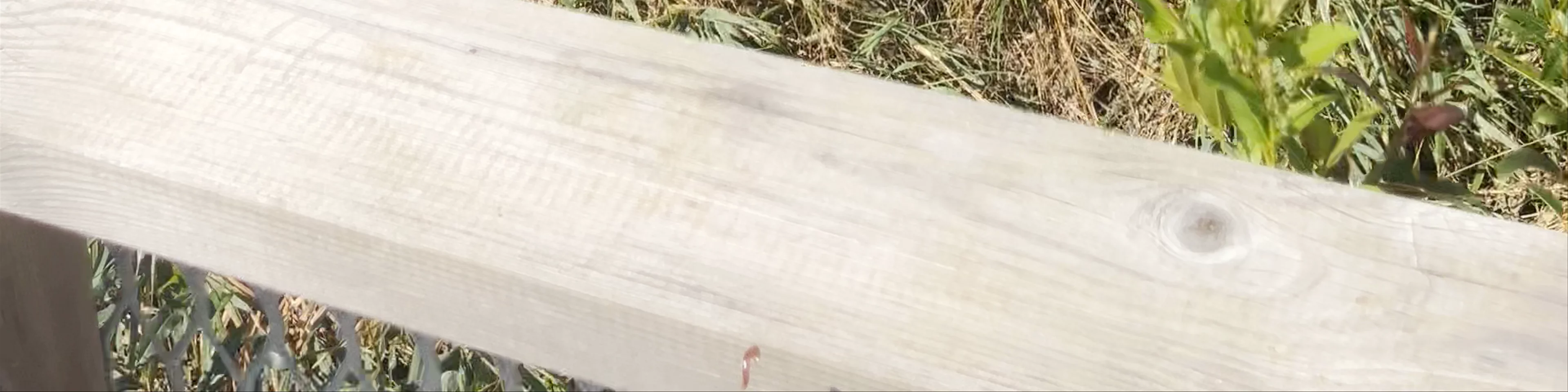 Wooden boardwalks at the flood-land meadows of the River Svēte