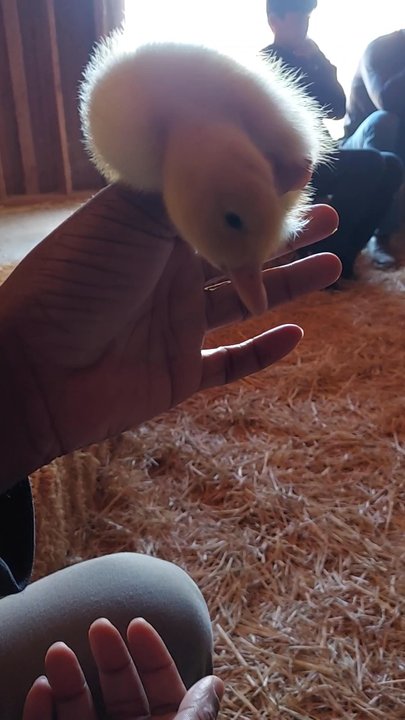 Impossible Acres Farm - Pick Your Own Farms Near Me - Davis, California