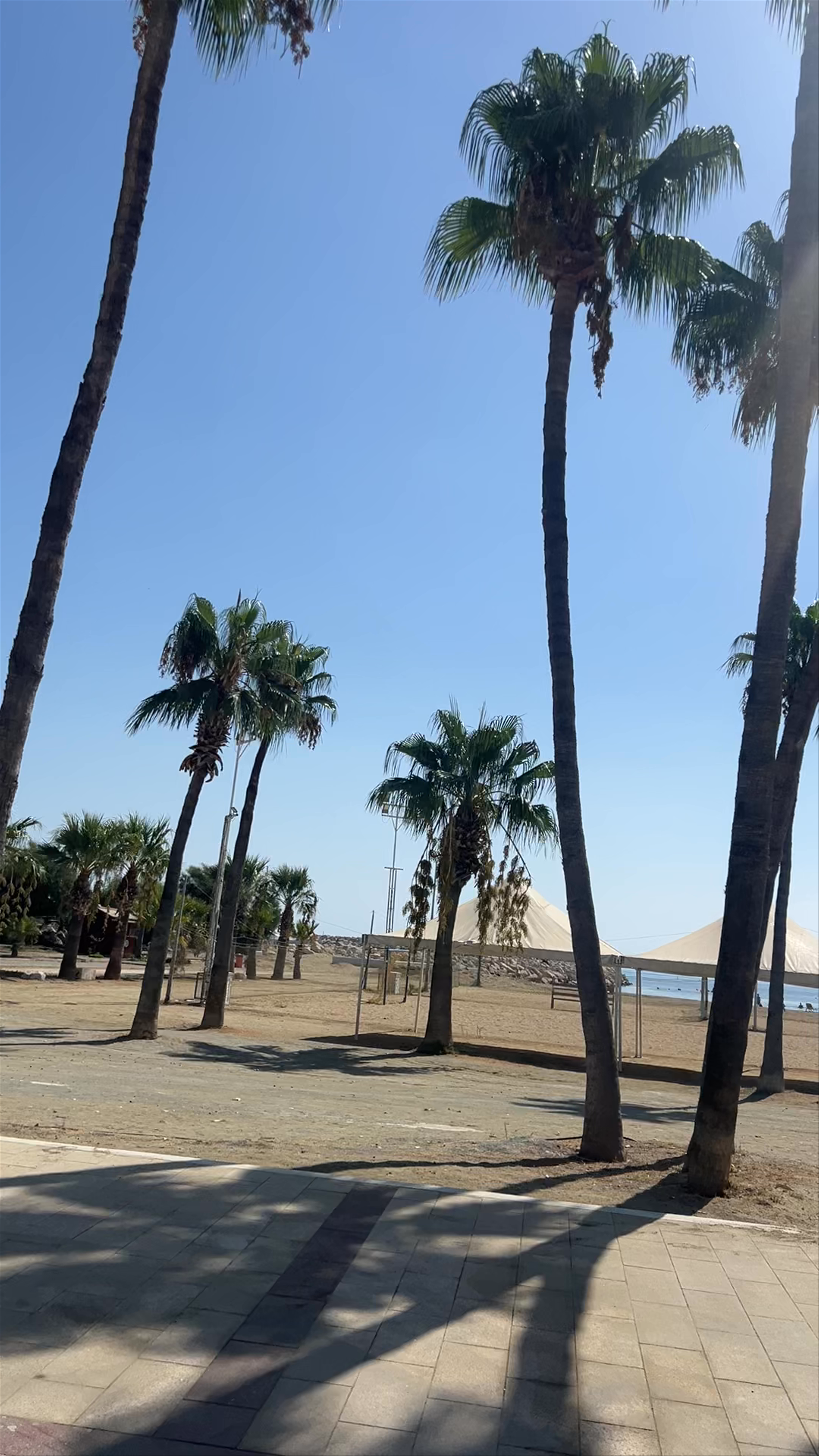 Finikoudes Beach