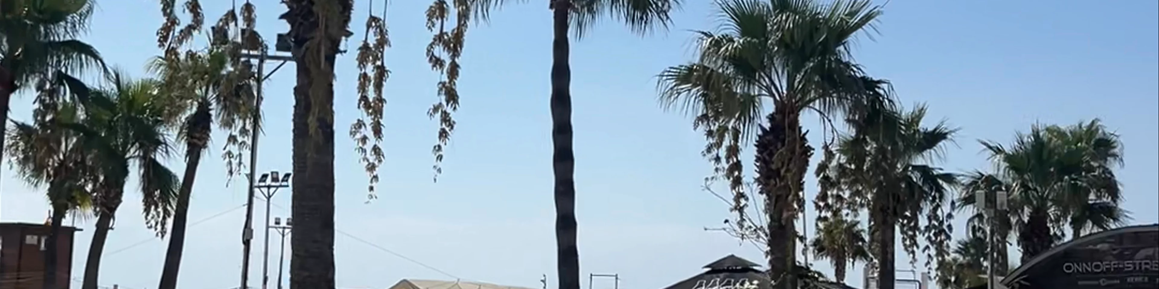 Finikoudes Beach