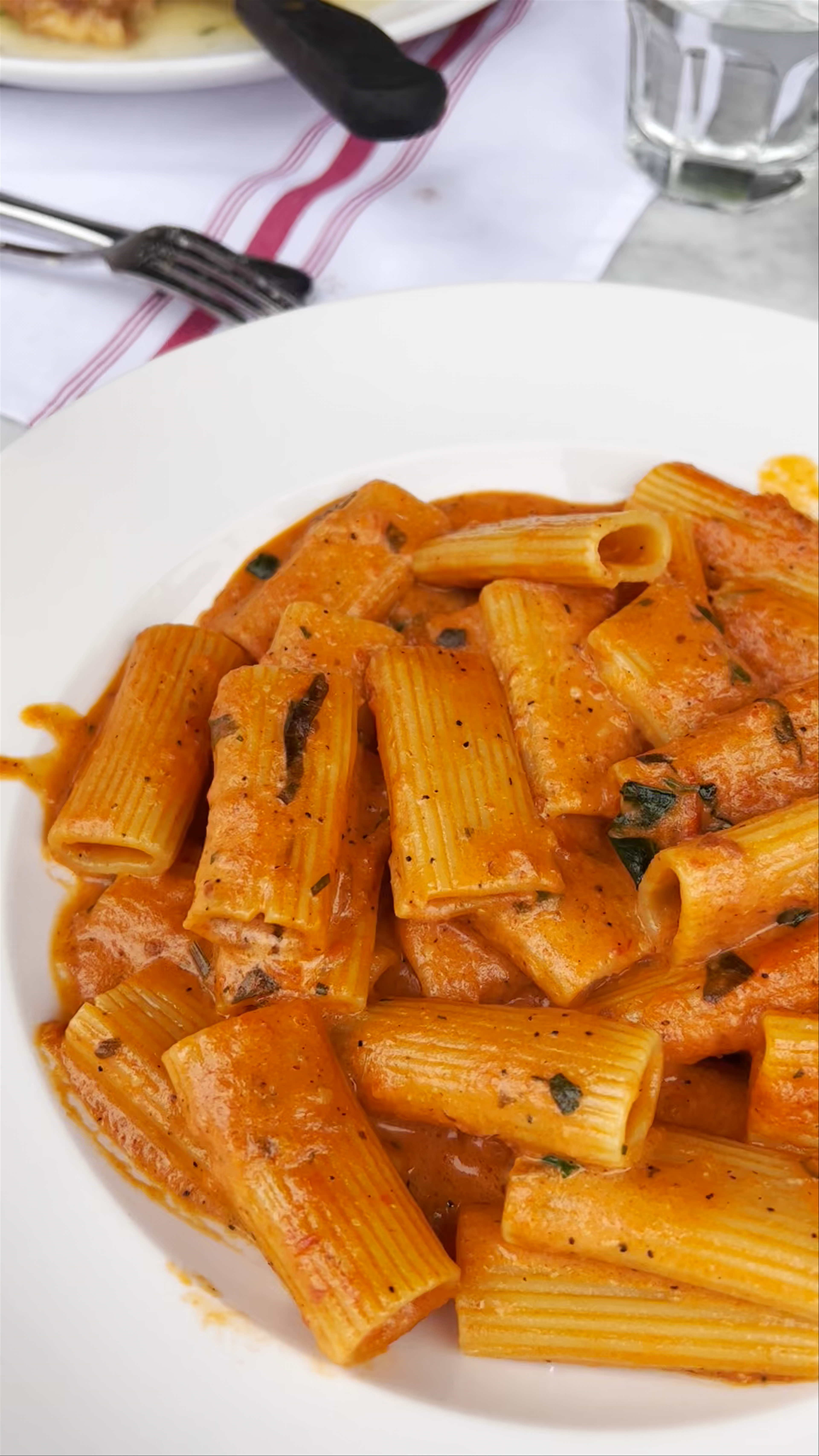Lynora's Boca: Casual Italian Dining with Creamy Rigatoni in Boca Raton
