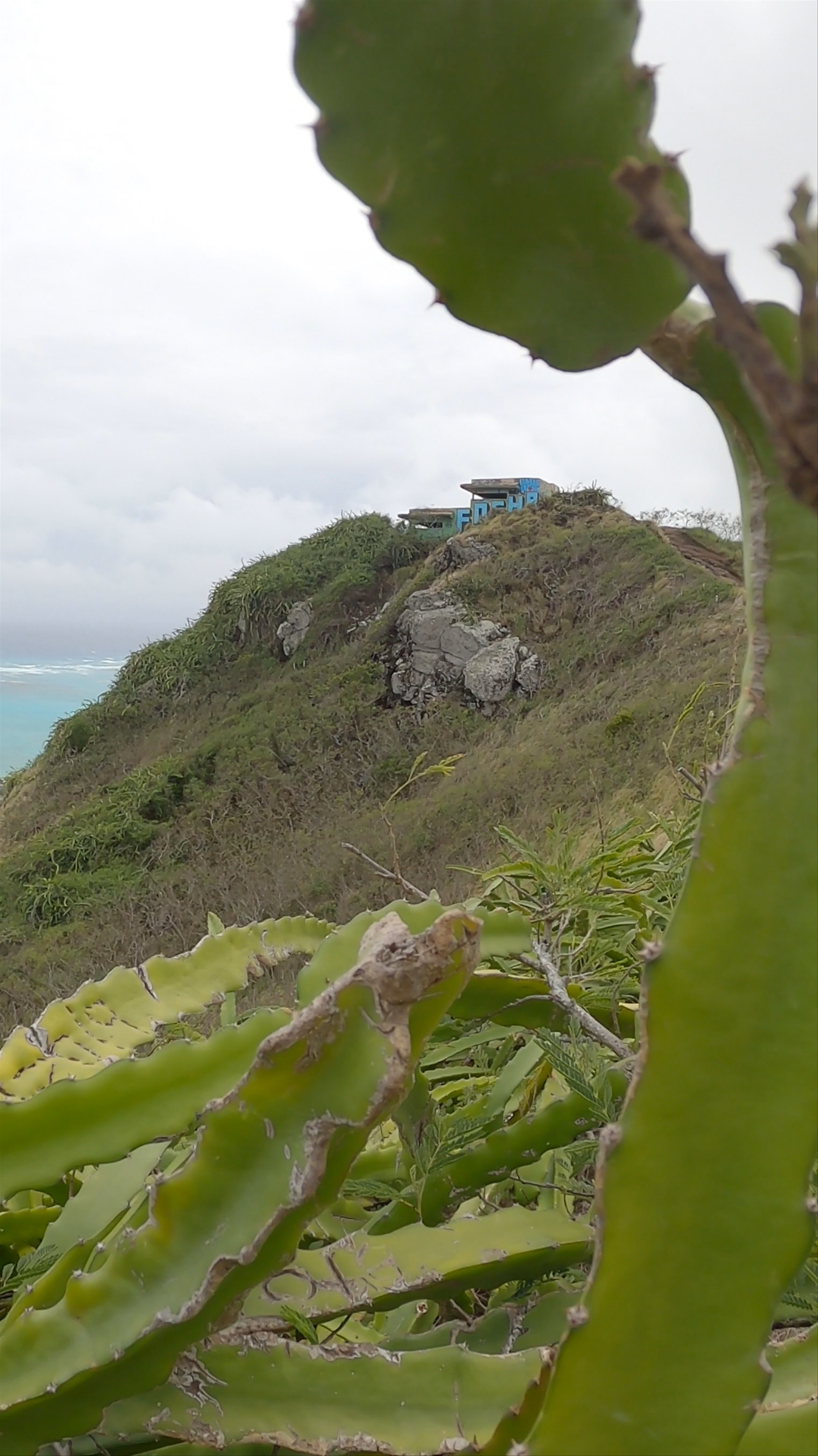 Pillbox Hike Adventure: Kailua's Lush Coastal Trail in Hawaii