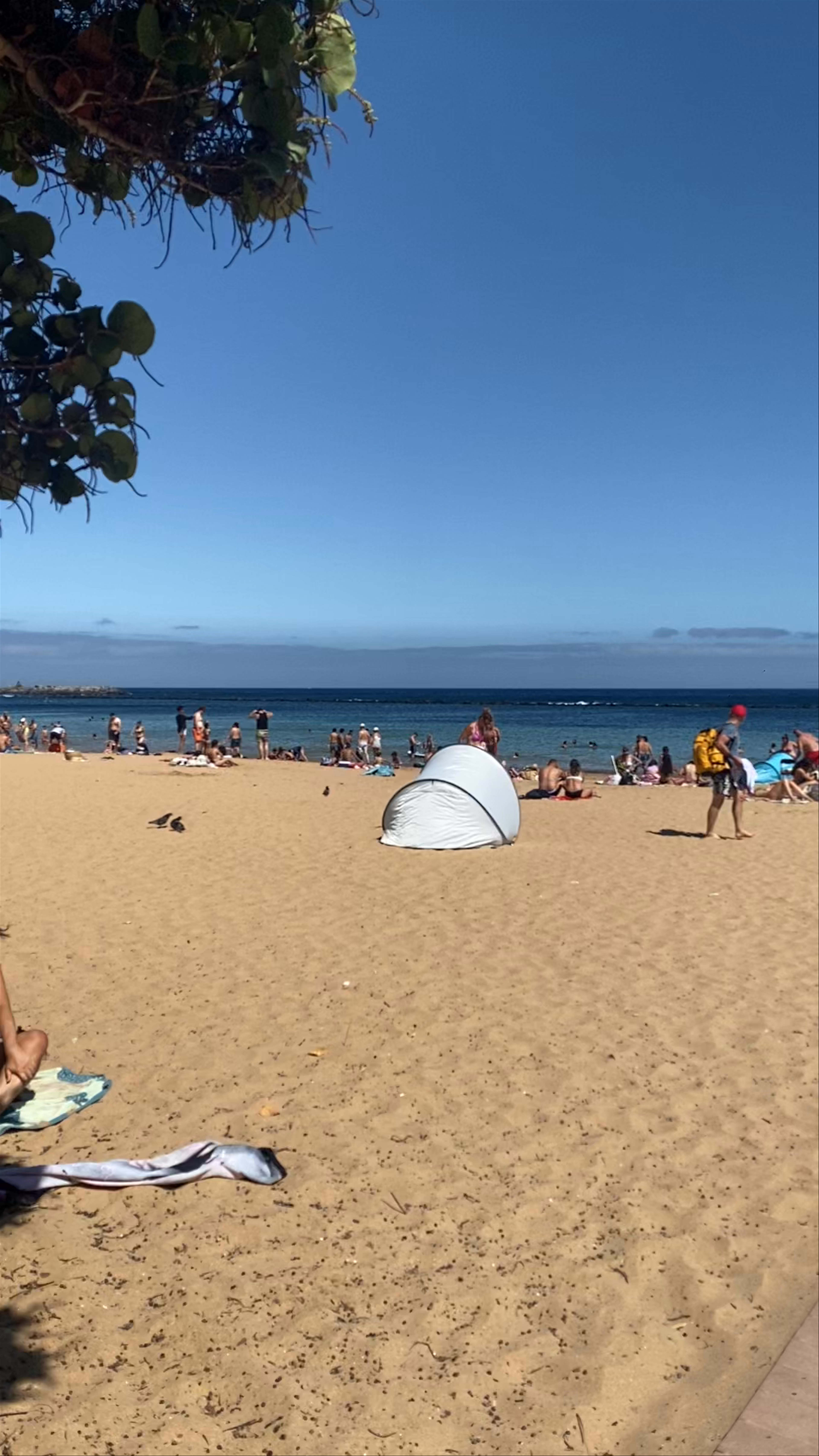 Playa Las Teresitas: Golden Sands and Sunny Escapes in Tenerife, Spain