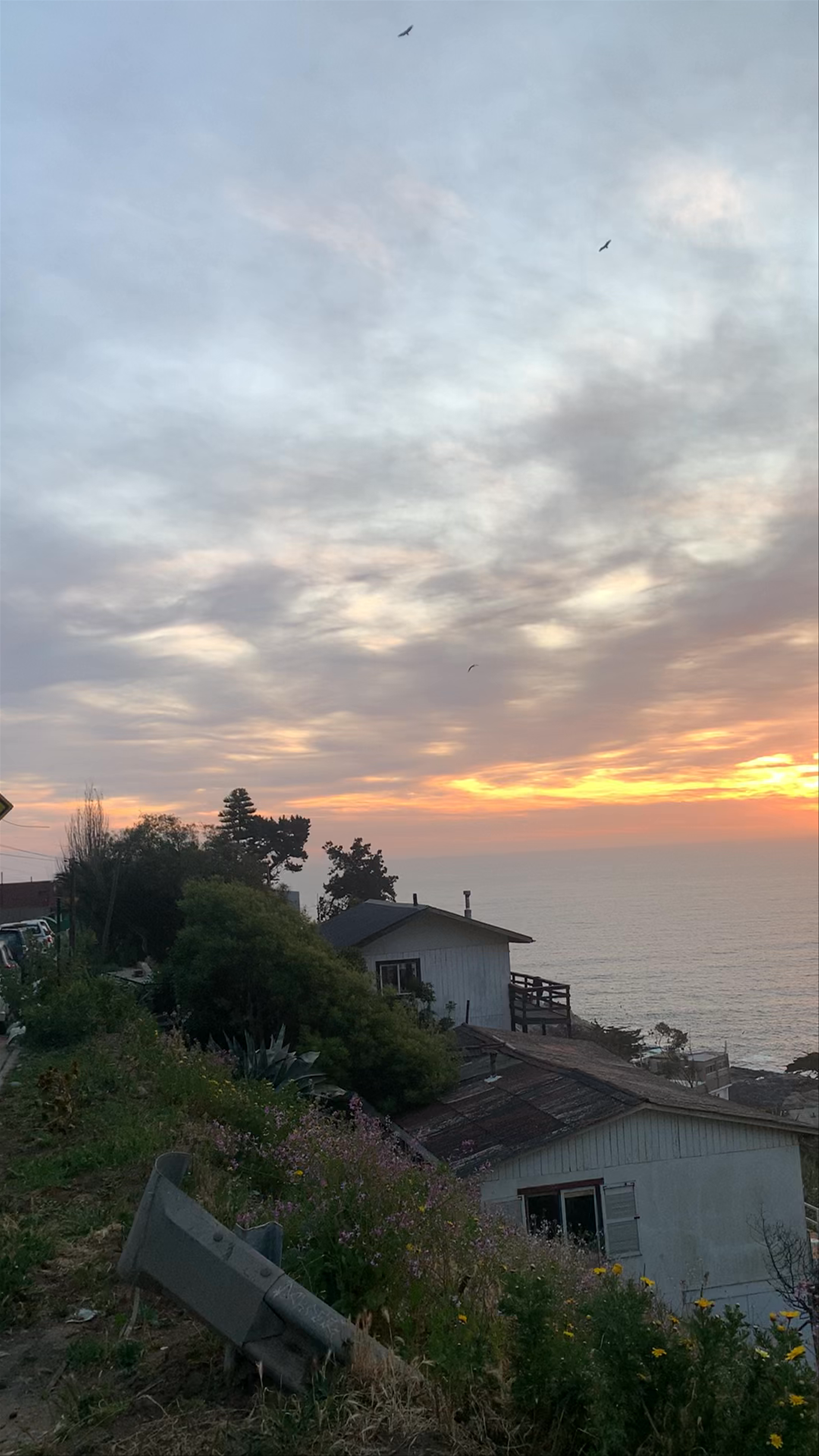 Reñaca Chile (Sector 5) - Avenida Borgoño