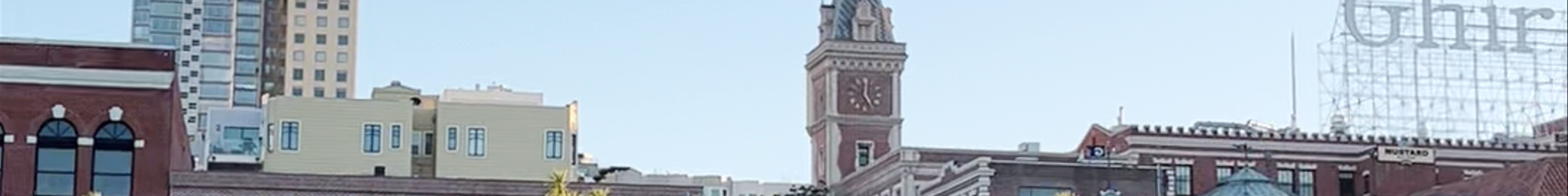 Tours & experiences in California