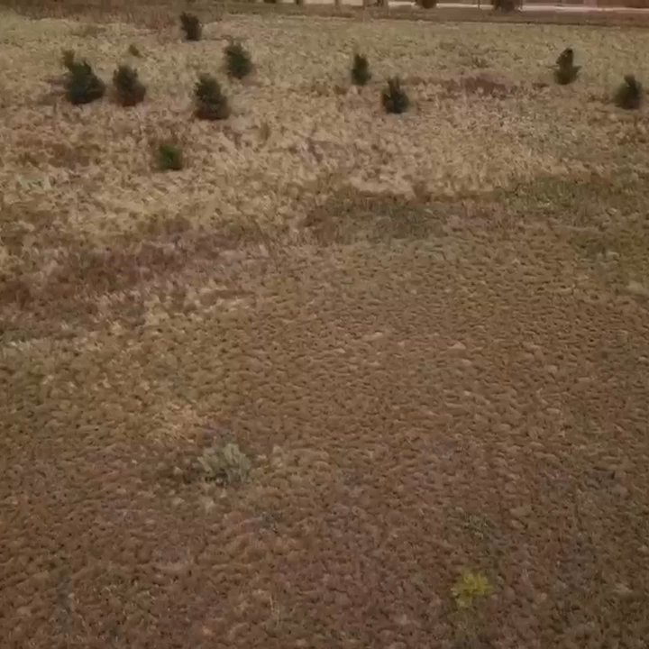 Keller Williams Realty - Final commercial land video flyover - Real Estate Services Near Me - Lubbock, Texas