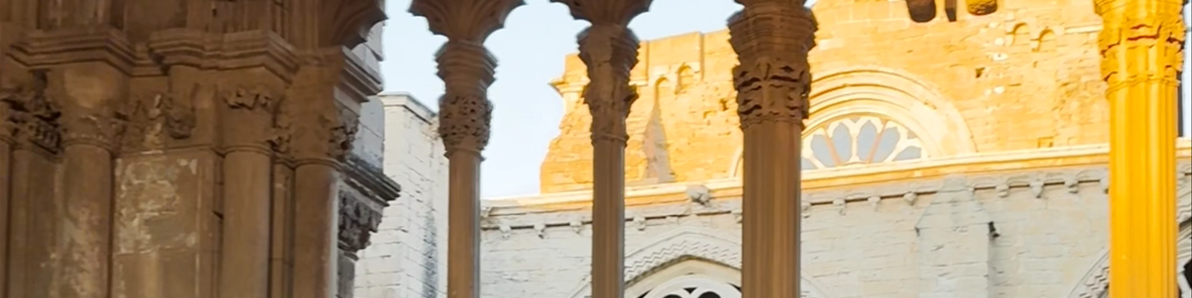 La Seu Vella