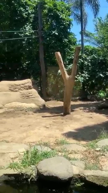 Bali Zoo