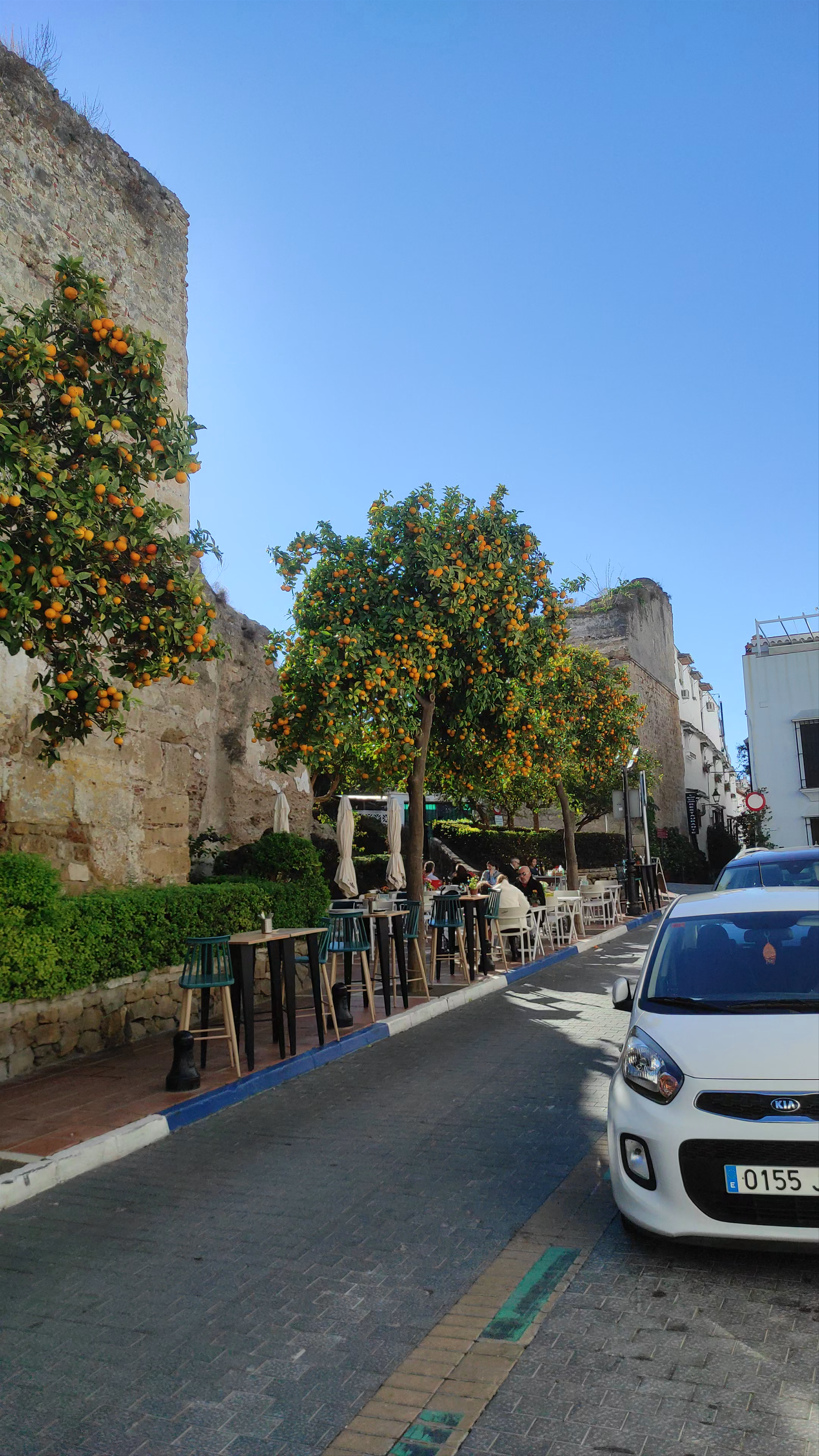 Historic Muralla Urbana and Orange Trees in Marbella, Spain