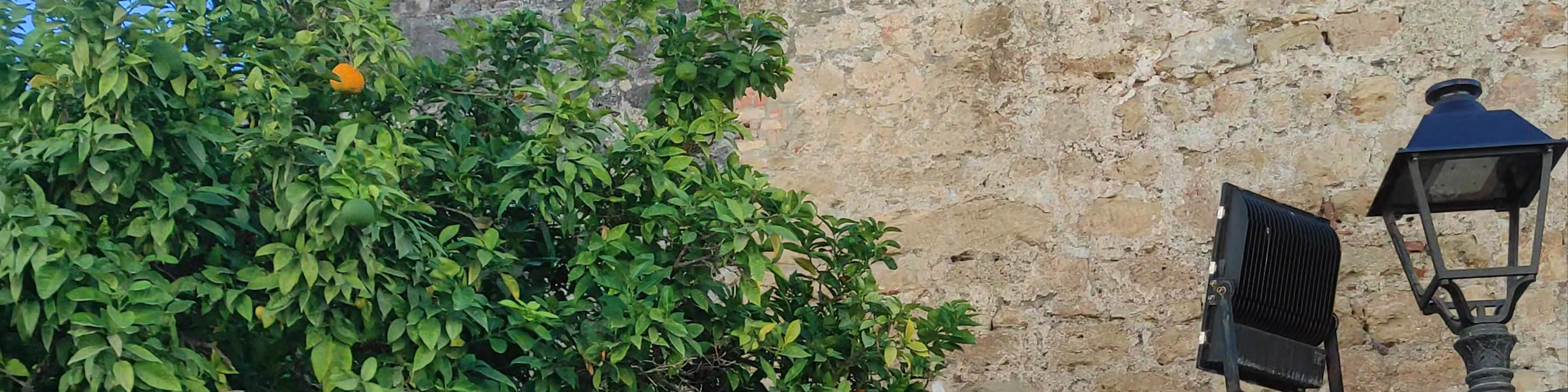 Muralla urbana de Marbella