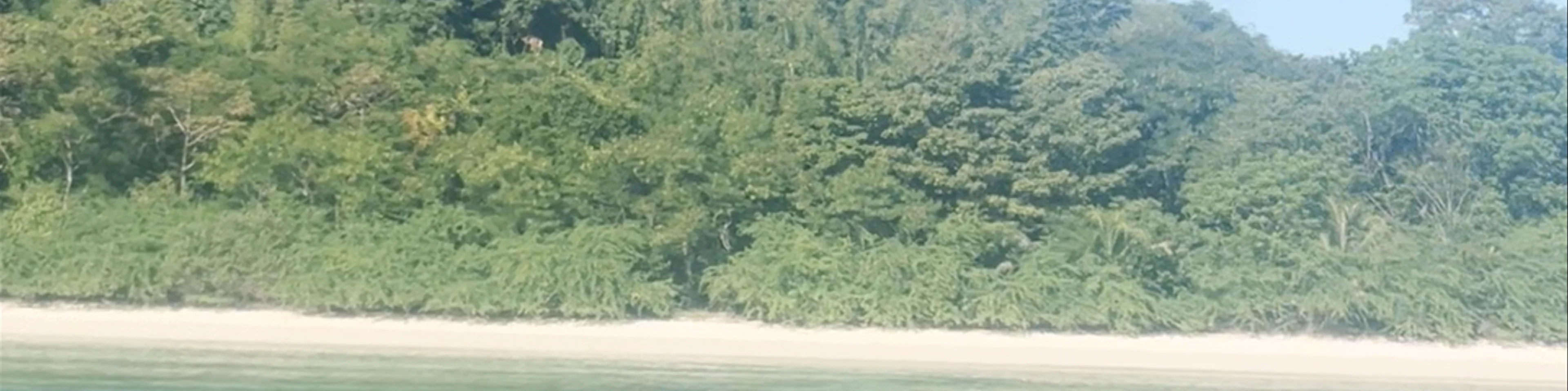 Ditaytayan Beach