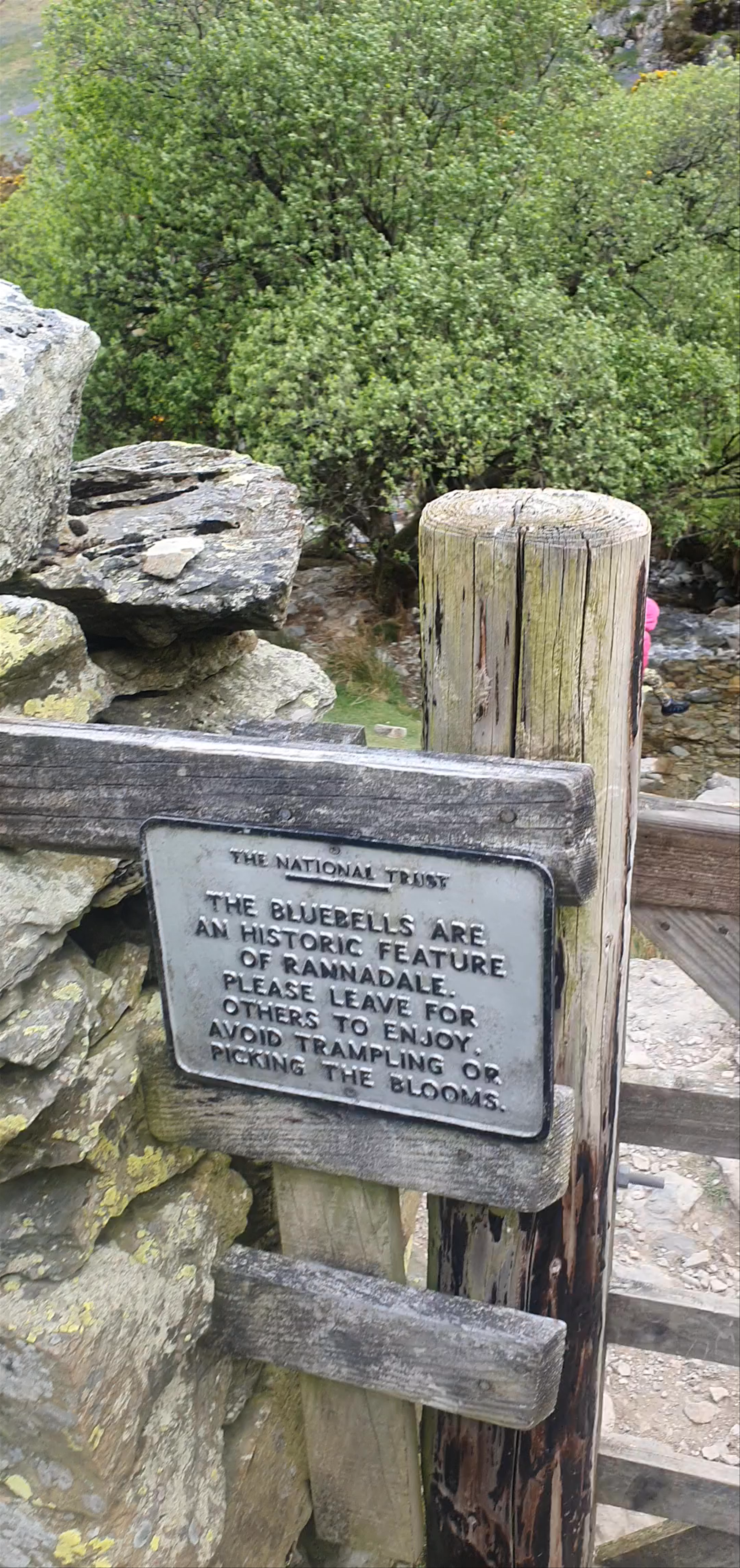 Rannerdale Knott