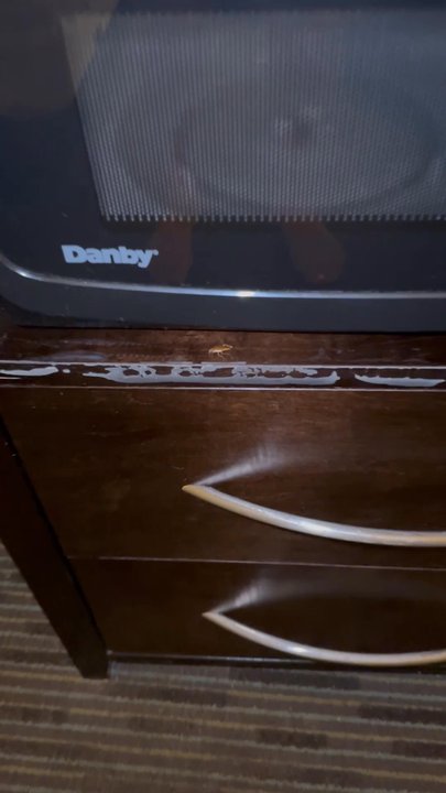 Hampton Inn Ozark - Cockroaches coming out of tv center. - Hotels Near Me - Ozark, Alabama