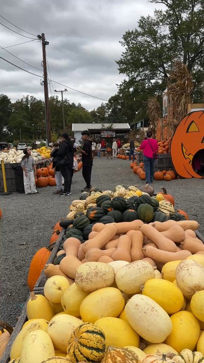 Nalls Produce - Fruits & Veggies Near Me - Alexandria, Virginia