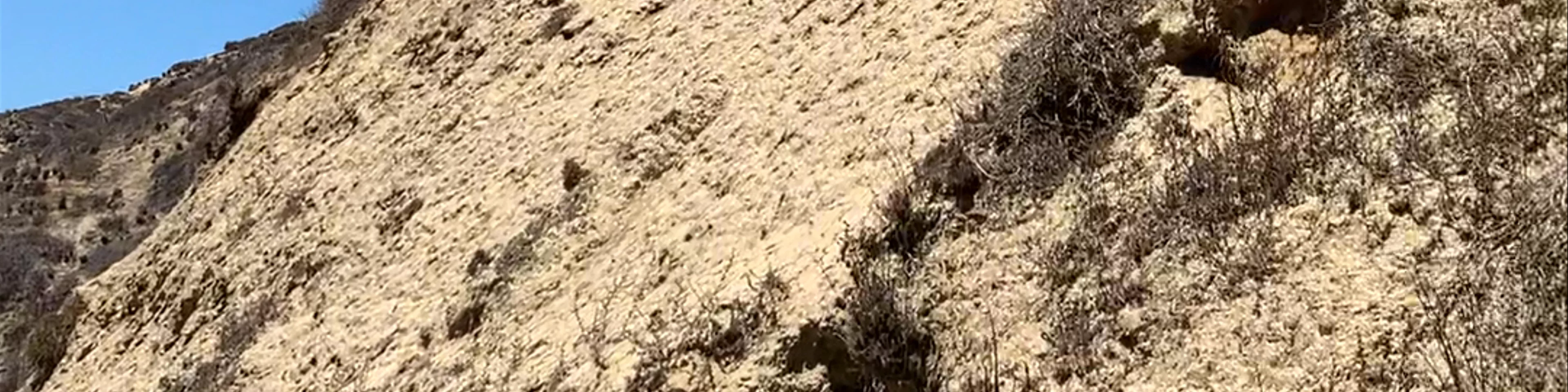 La Jolla Shores Beach