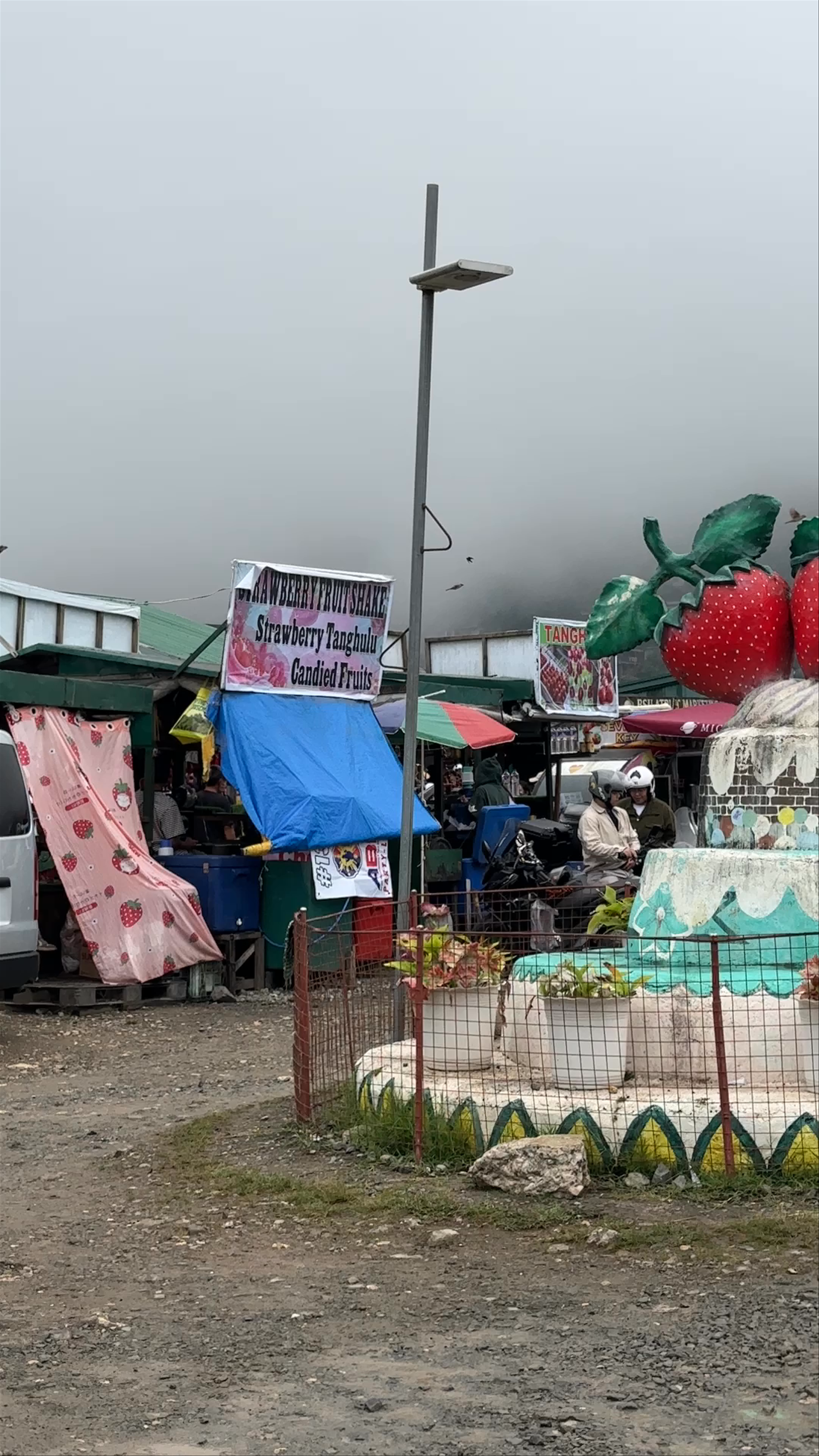 Strawberry Farm - Home of Giant Strawberry Cake