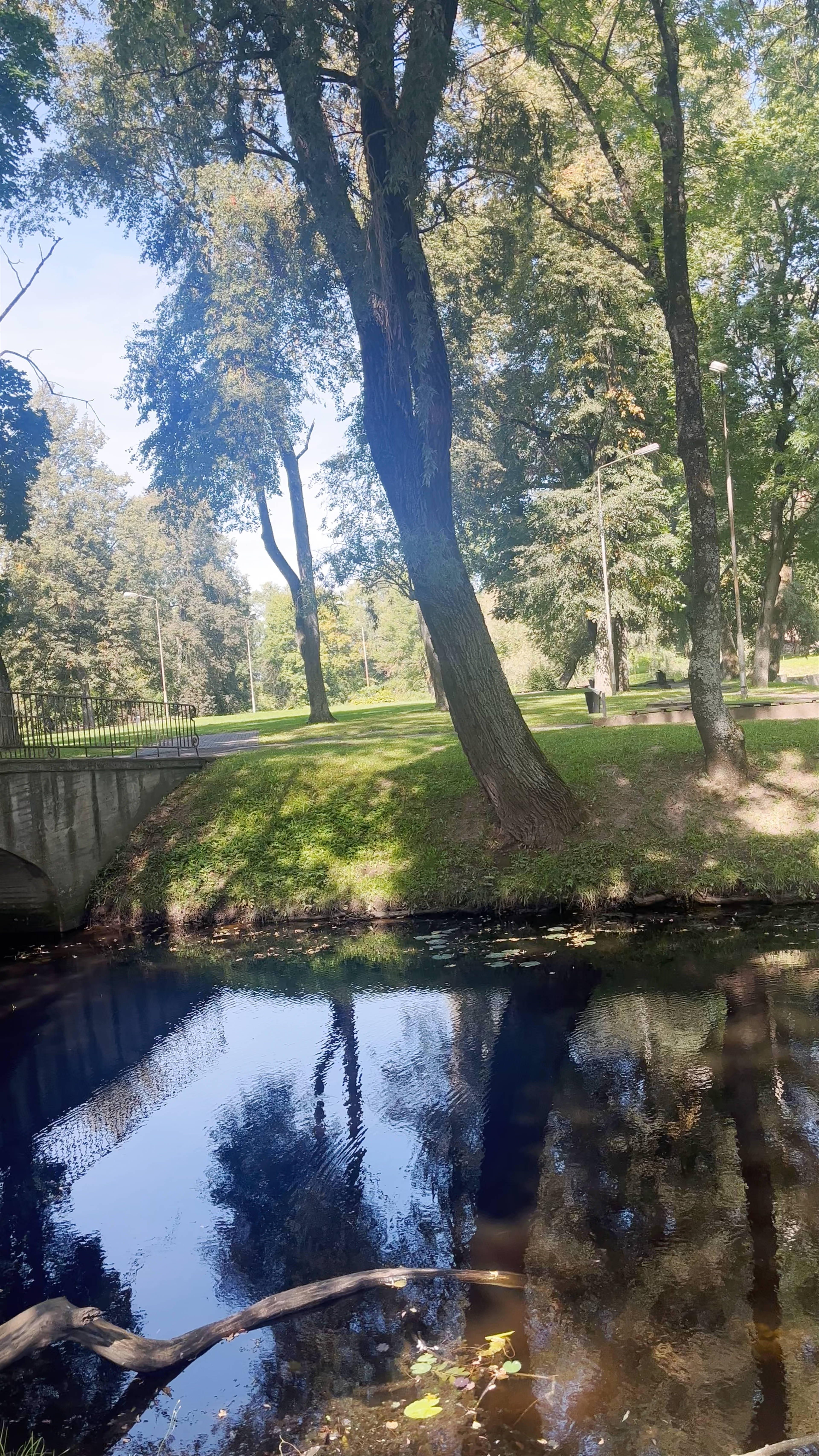 Jelgavas pils parks