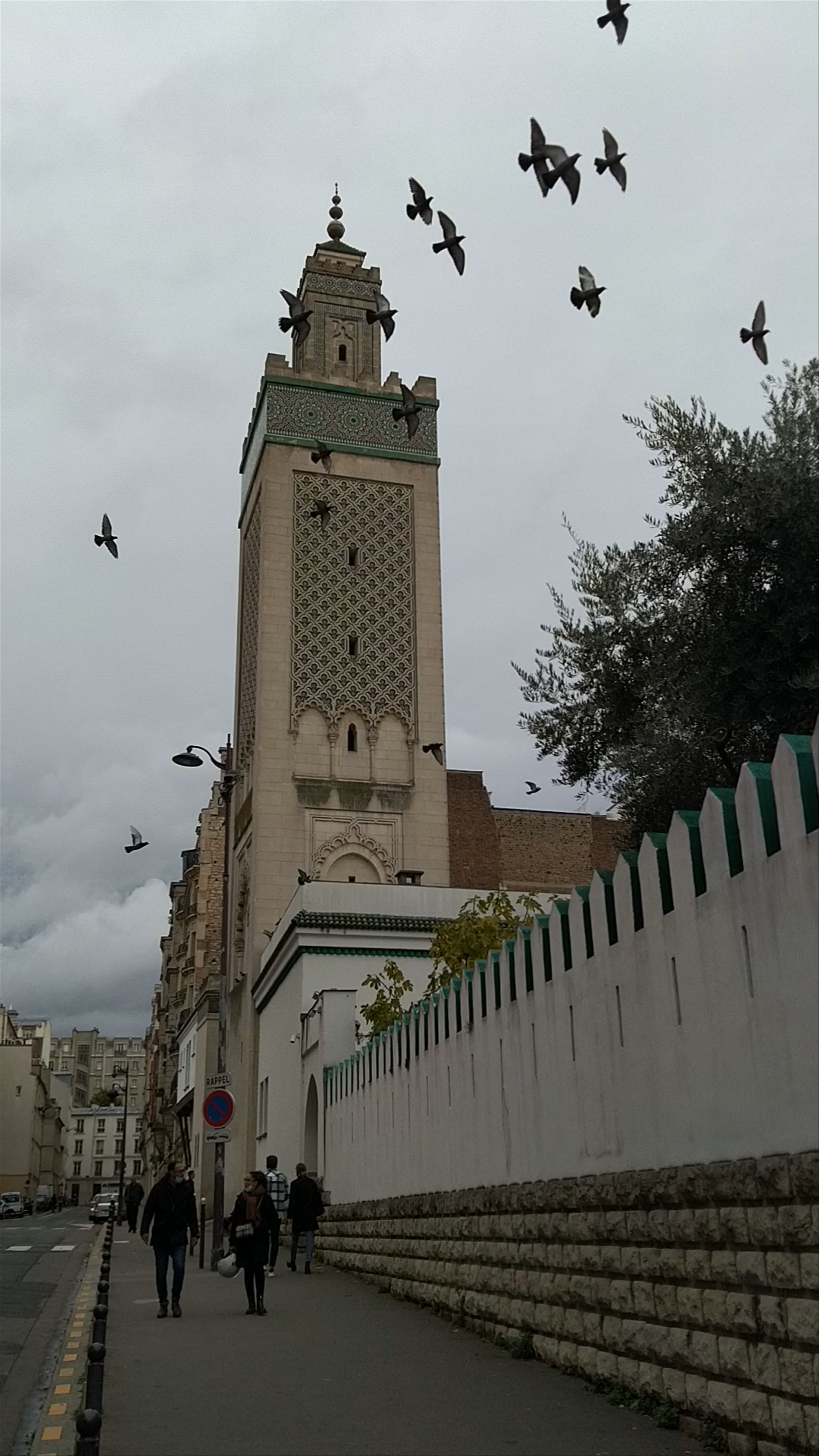 Grande Mosquée de Paris: A Cultural Gem in the Heart of Paris