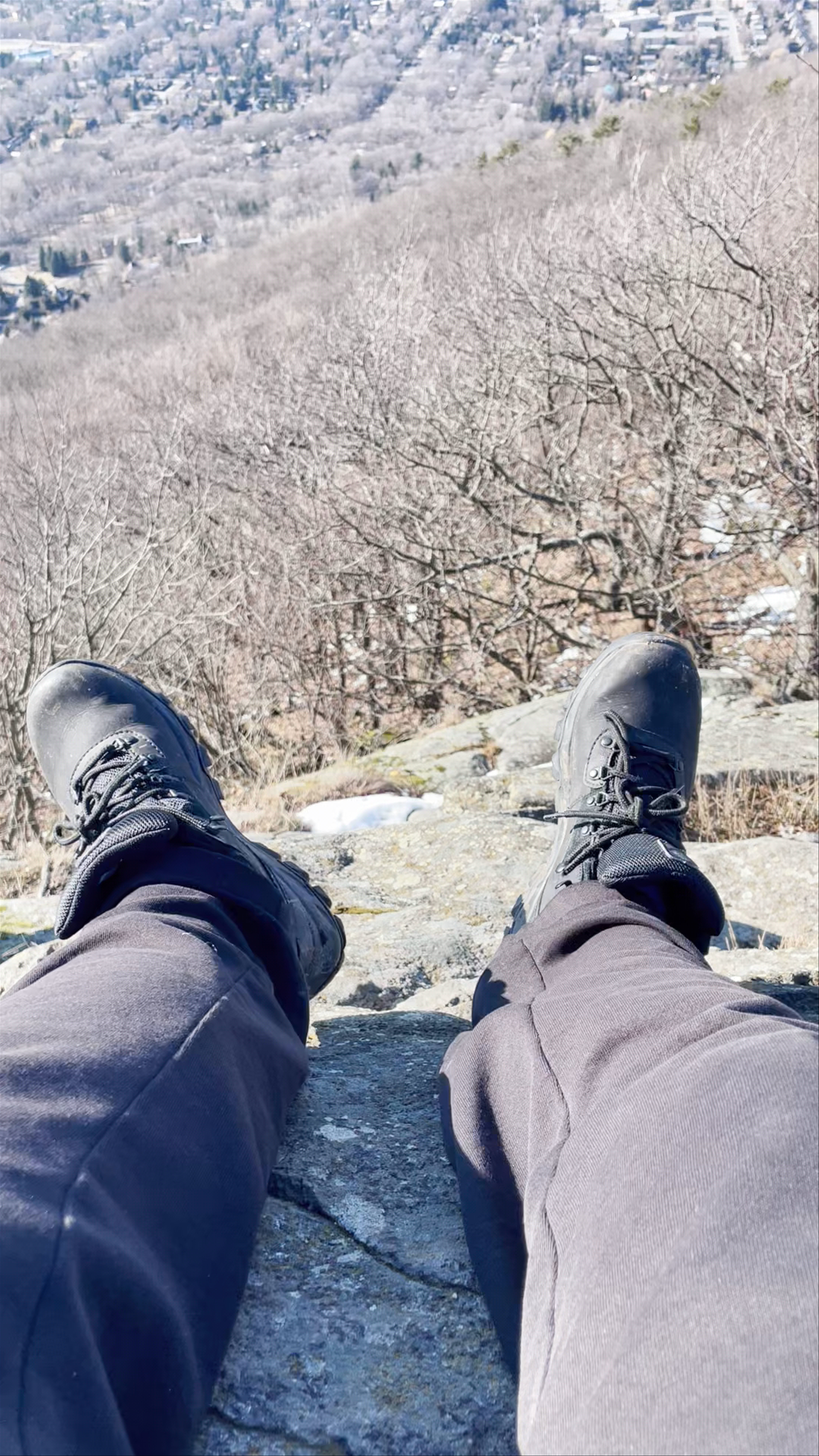 Gault Nature Reserve of McGill University