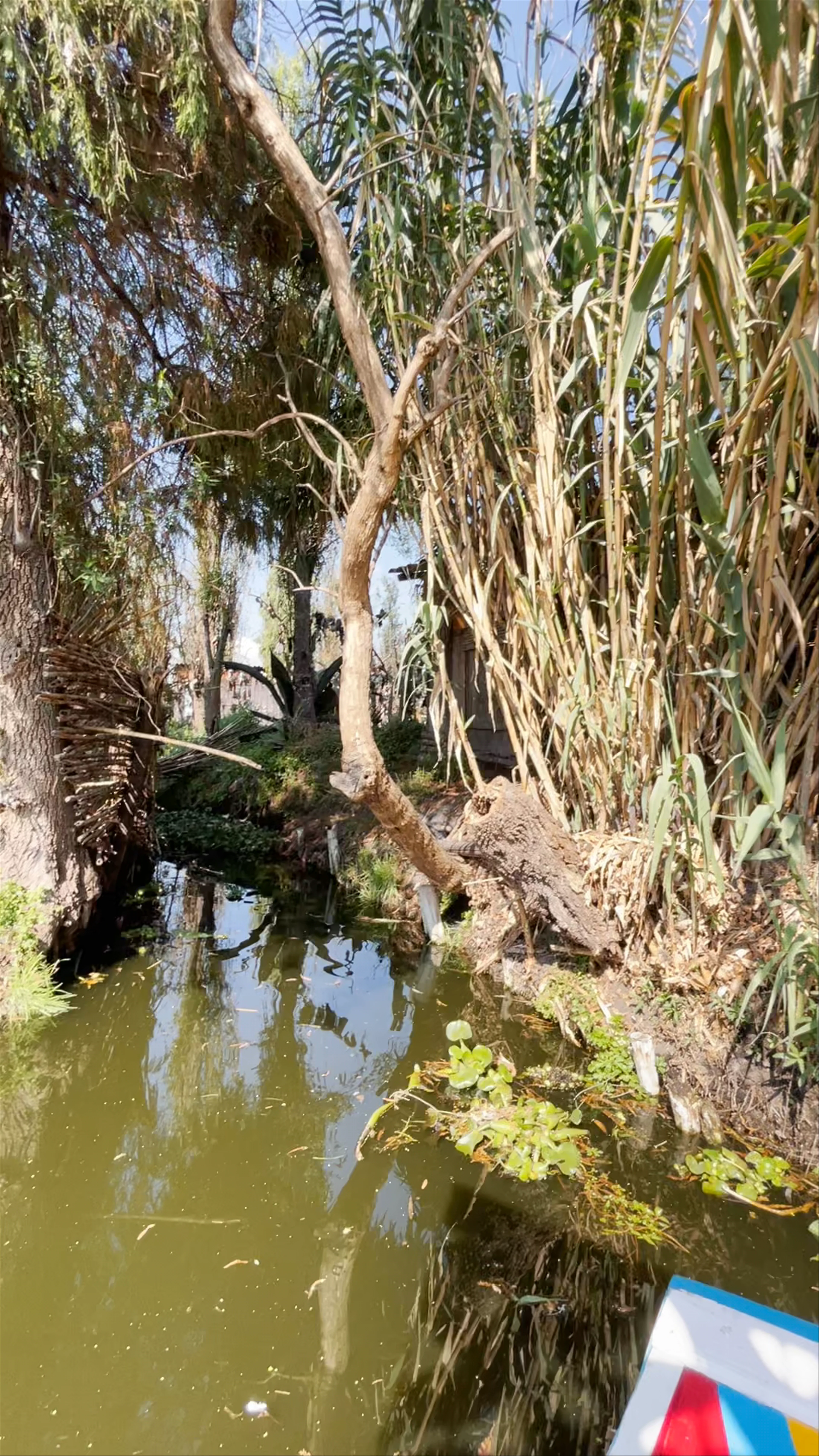 La Isla de la Munecas, Parque Ecológico de Xochimilco, Mexico City, CDMX, Mexico