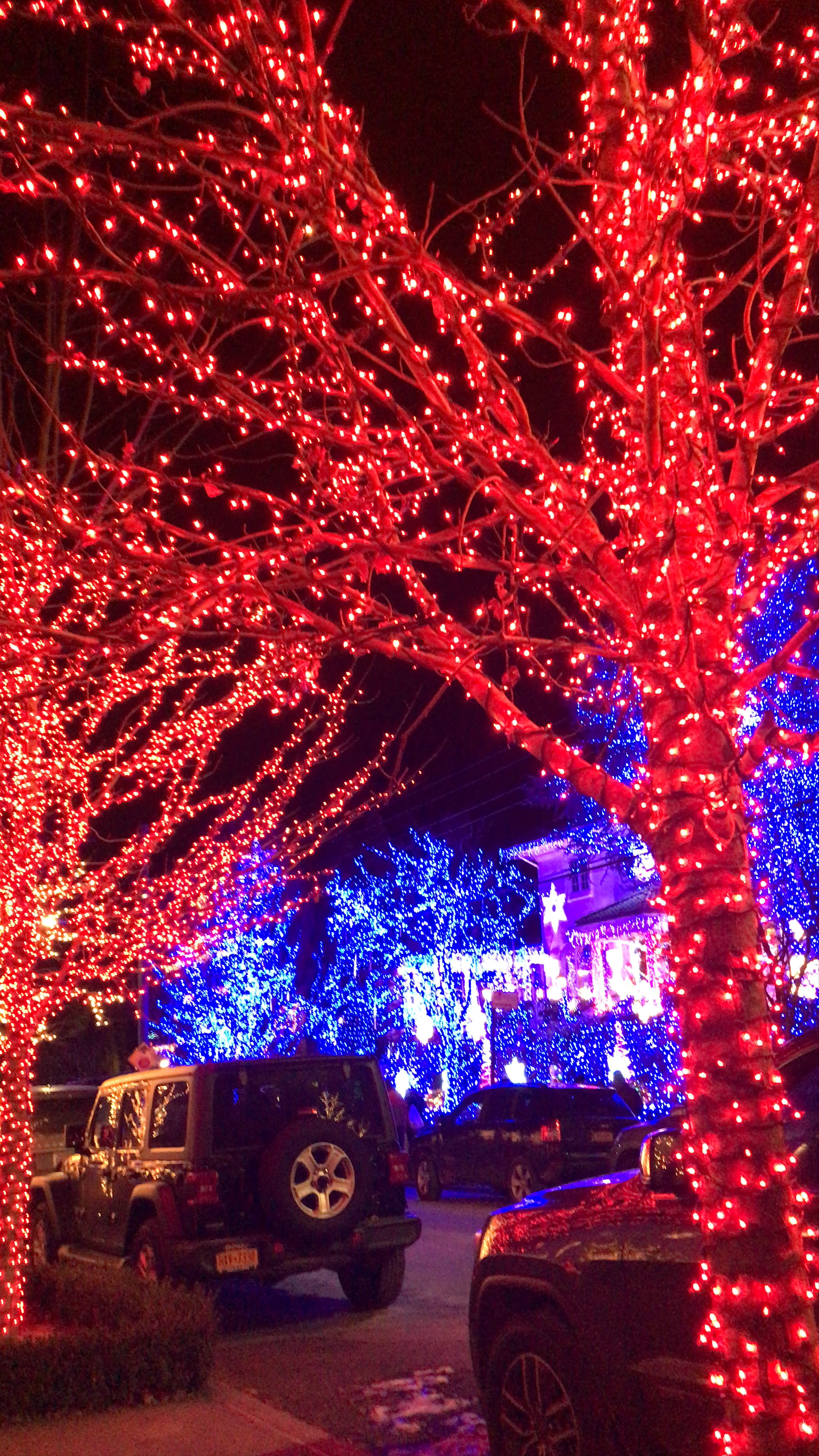 Dyker Heights Christmas Lights: Brooklyn's Iconic Holiday Spectacle
