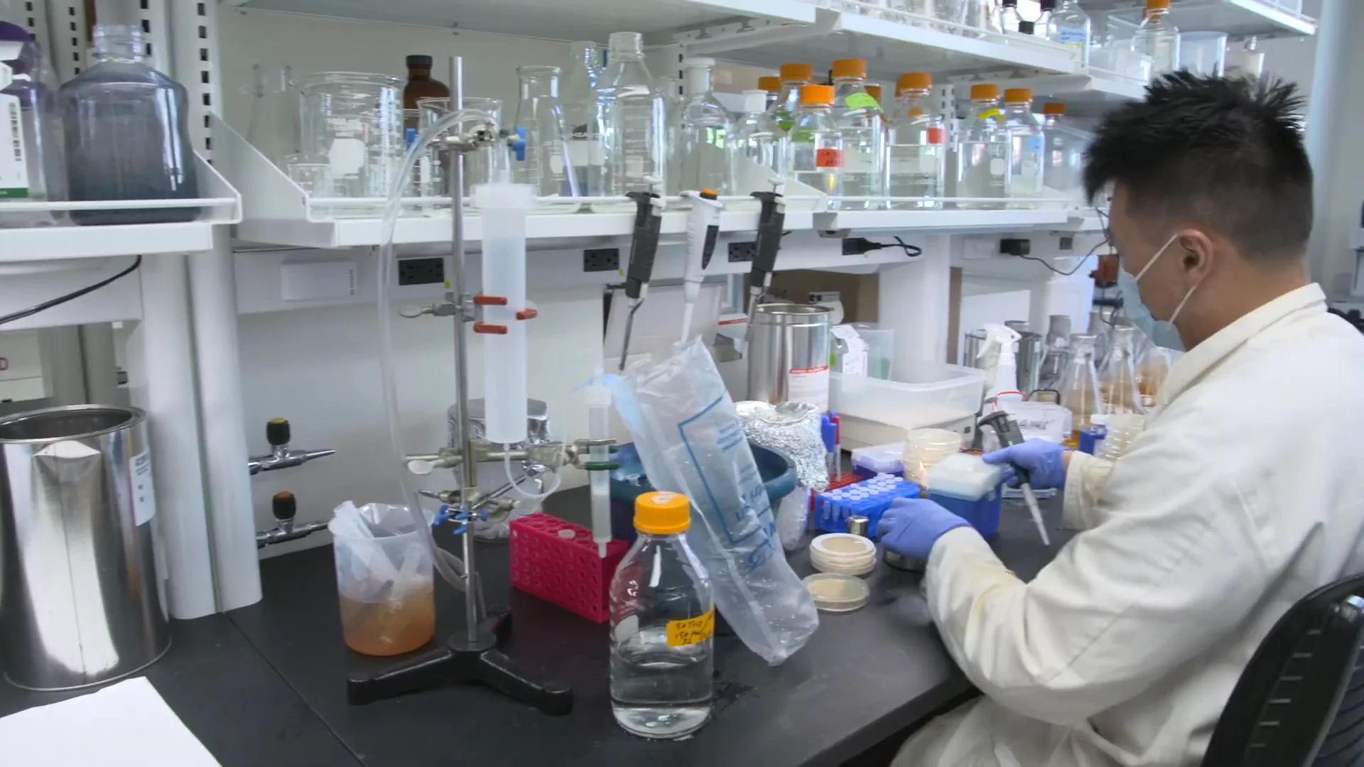 Explore the University of Arizona's Top Pharmacy Programs: A Virtual Tour!