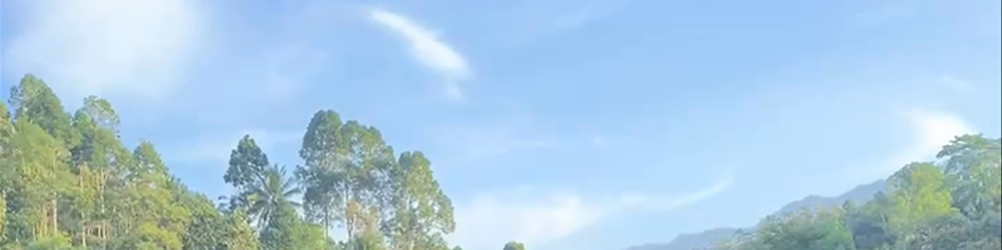 Malang