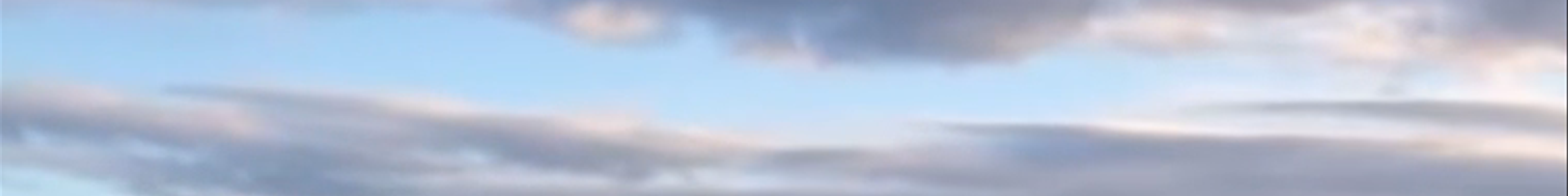 Tours & experiences in Höfn