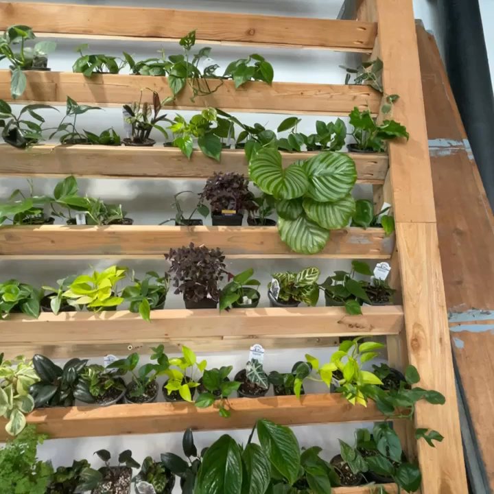 A Modern Plantsman Spokane - Nurseries & Gardening Near Me - Spokane, Washington