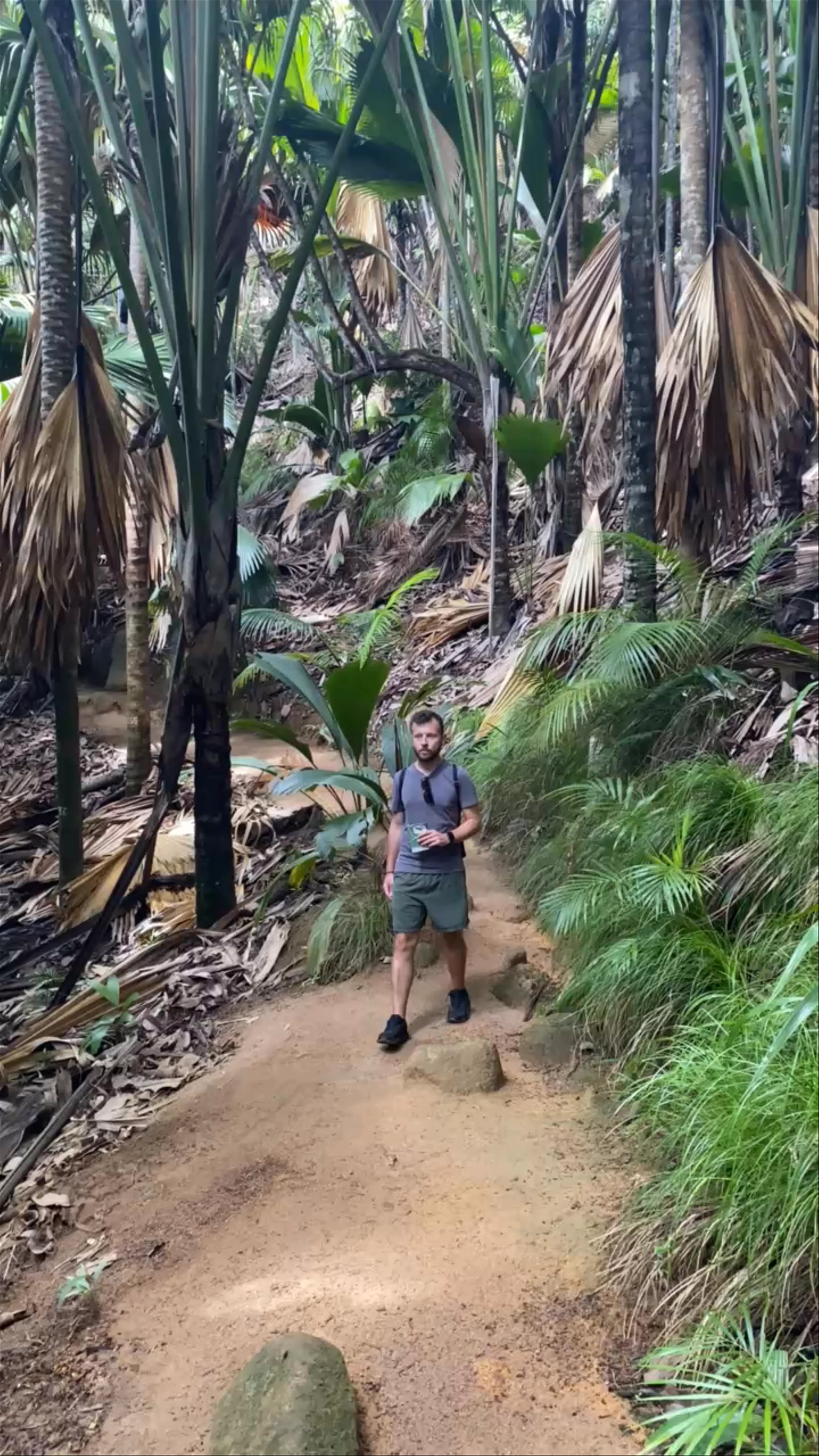 Vallée de Mai, Praslin