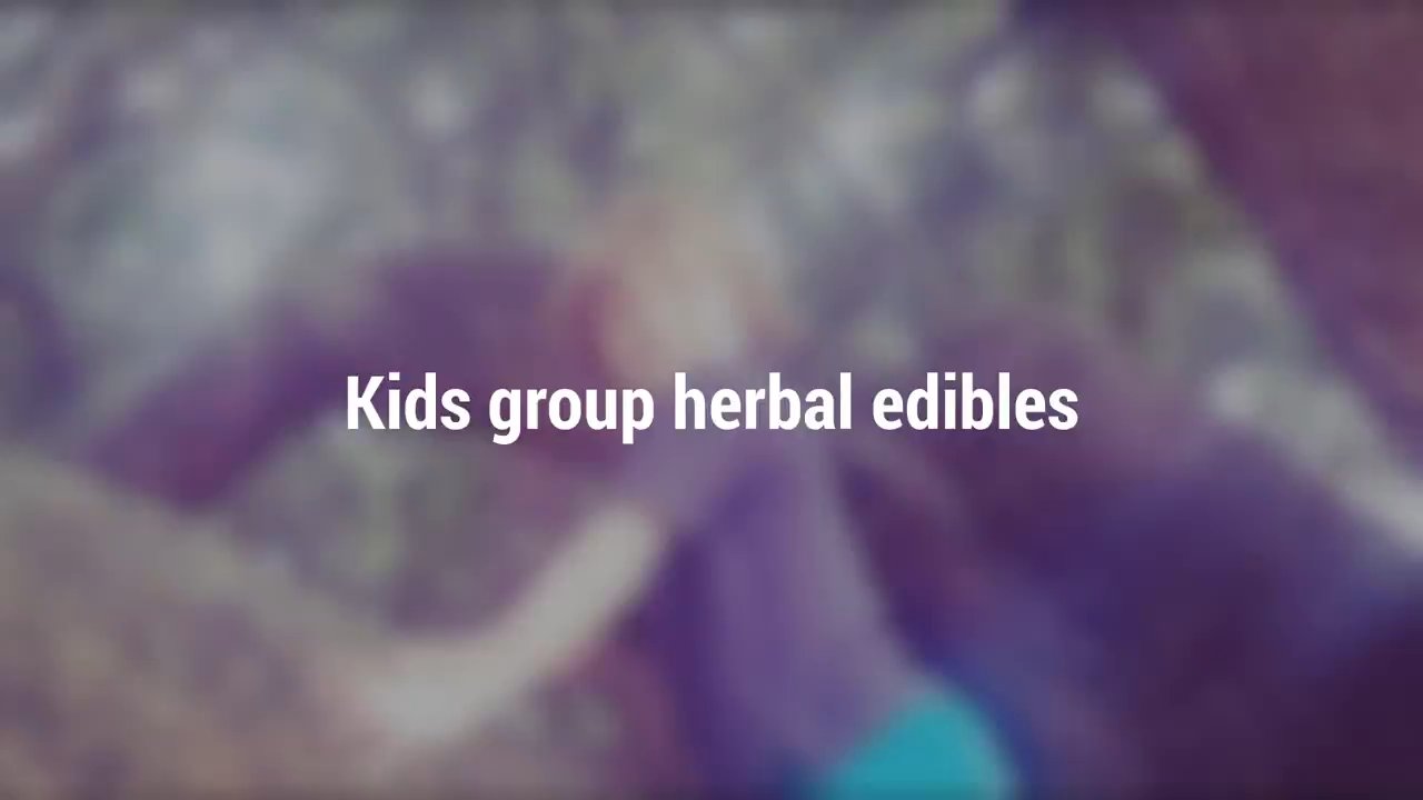 Wild Roots Alchemy - Kids Take a walk on the Wild side - Specialty Schools Near Me