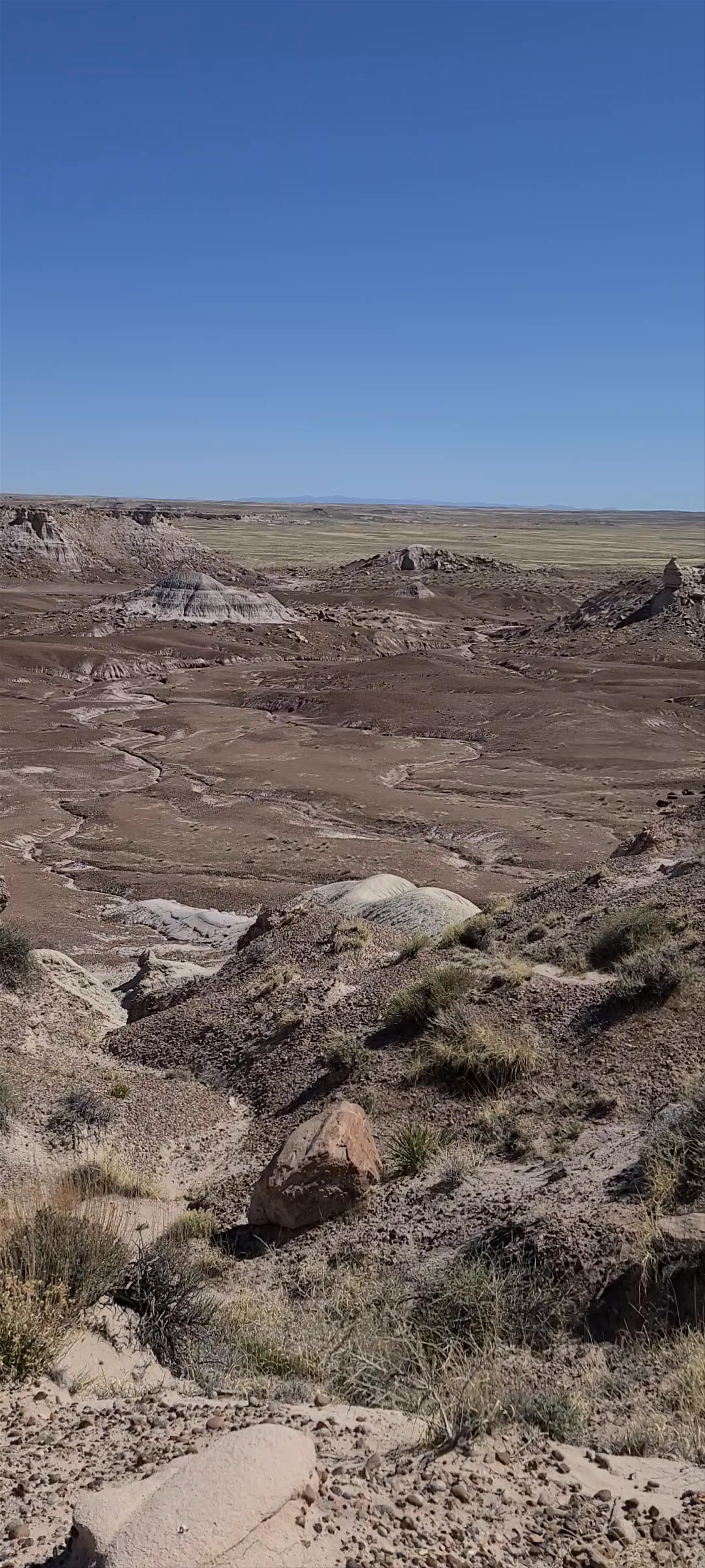 Petrified Forest National Park