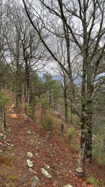 The Overlook Bed & Breakfast - View from treetop cottage - Bed & Breakfast Near Me - Jasper, Arkansas