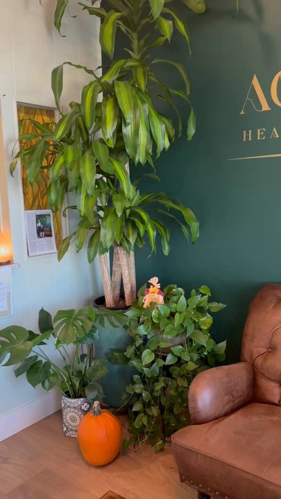Agape Healing Arts - The 222 portal - Acupuncture Near Me - Tequesta, Florida